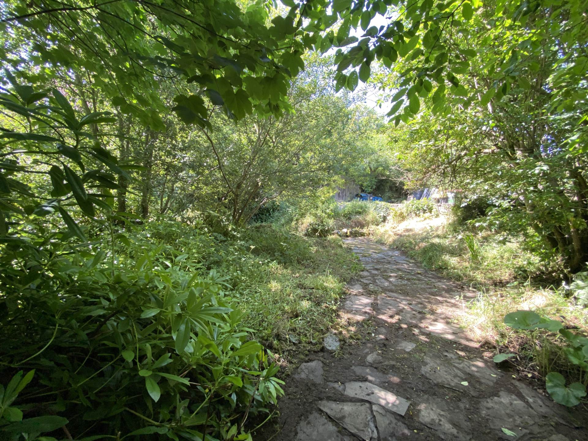 Teach na Geal, Summercove, Kinsale, P17 KD45, Image 34