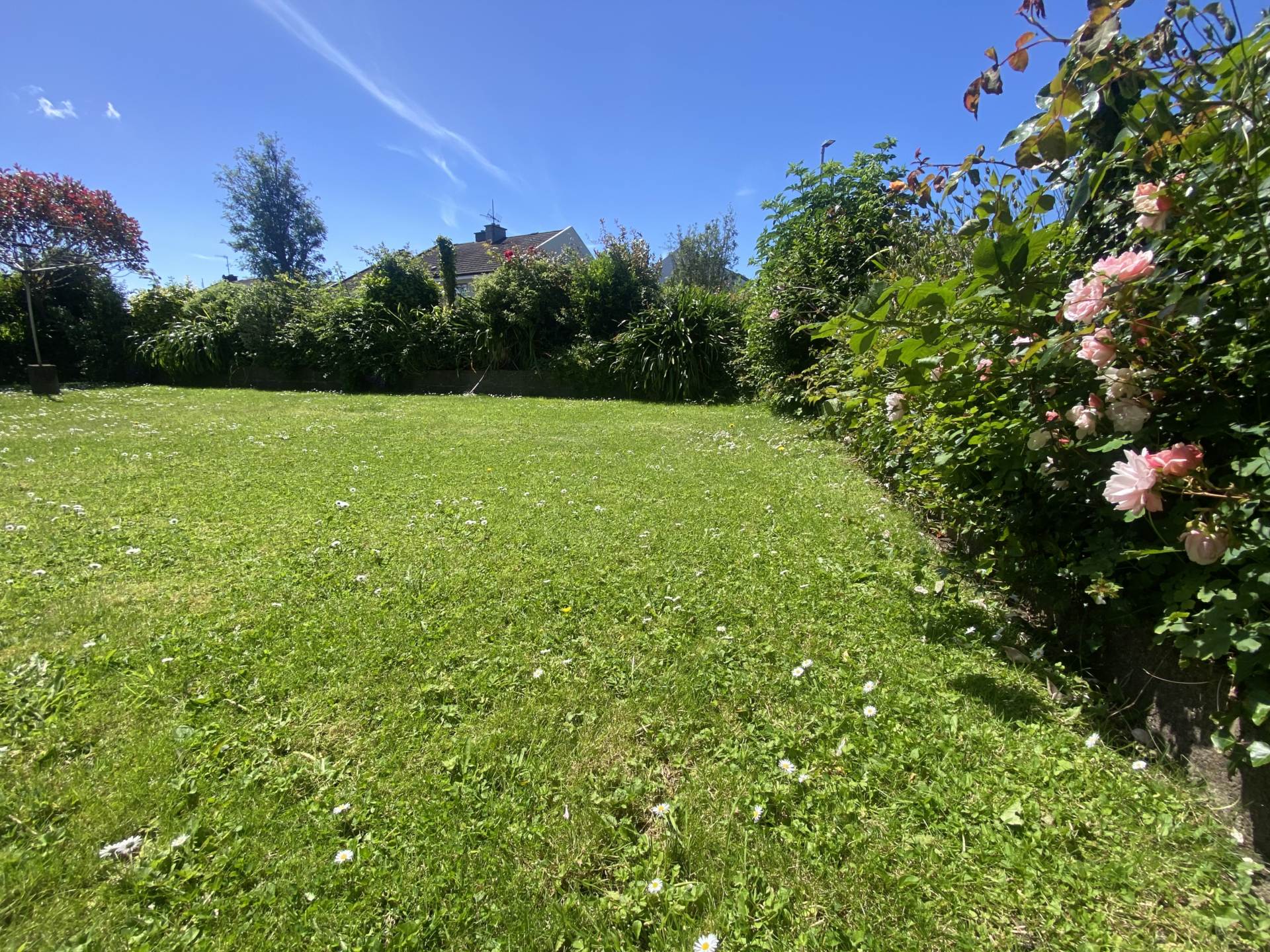 Hillcrest, Blindgate, Kinsale, P17 CX90, Image 6