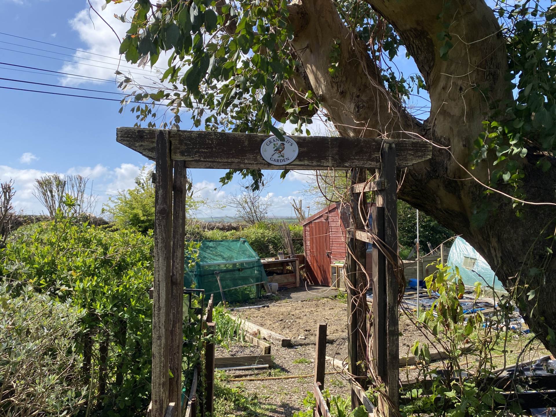 Milewater, Kinsale, P17 YC81, Image 32