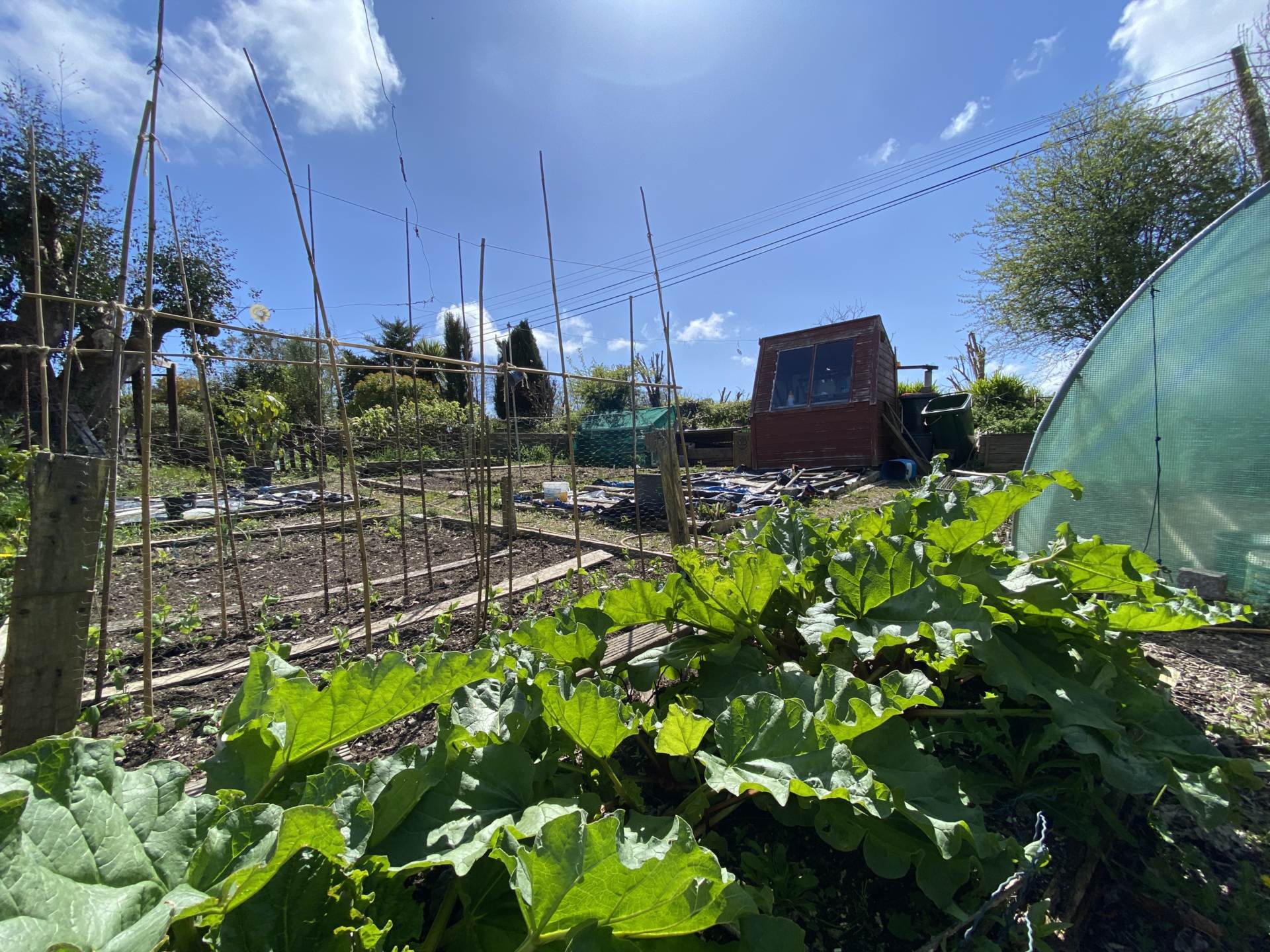 Milewater, Kinsale, P17 YC81, Image 33