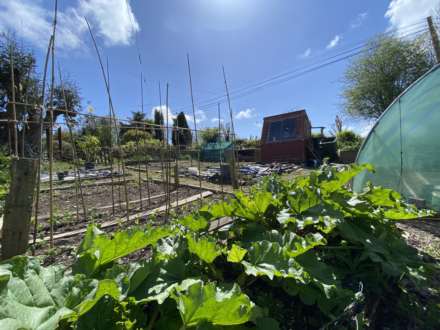 Milewater, Kinsale, P17 YC81, Image 33