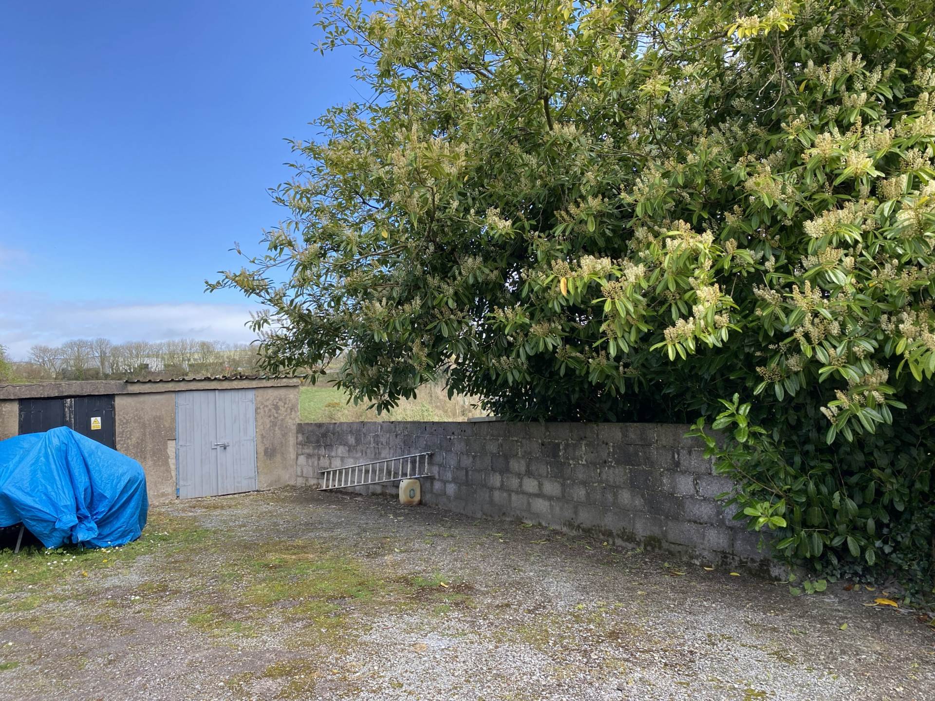 1 Barrack Street, Kinsale, P17 YK65, Image 21