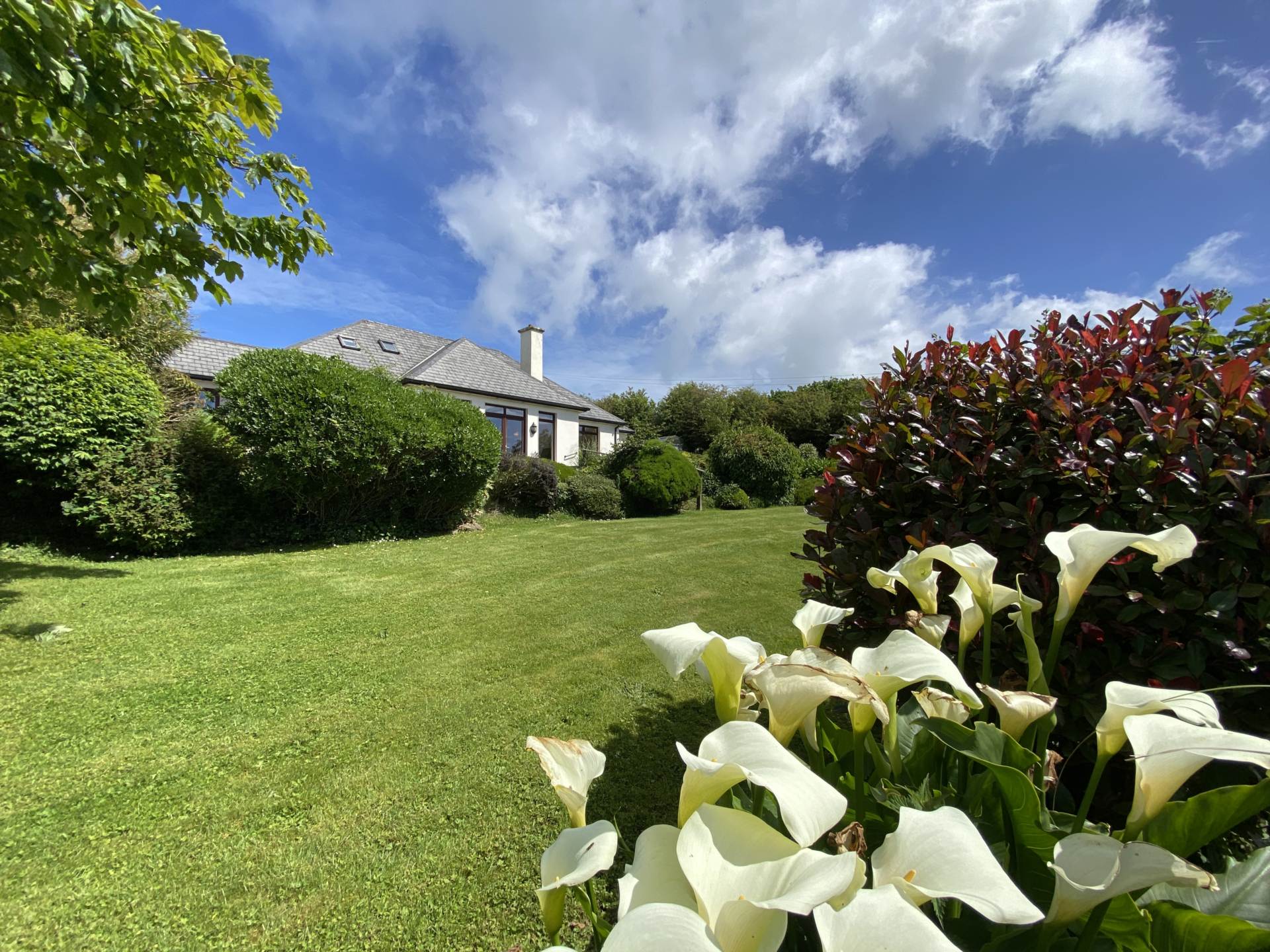 Castlelands, Castlepark, Kinsale, Co Cork, P17 FR96, Image 37