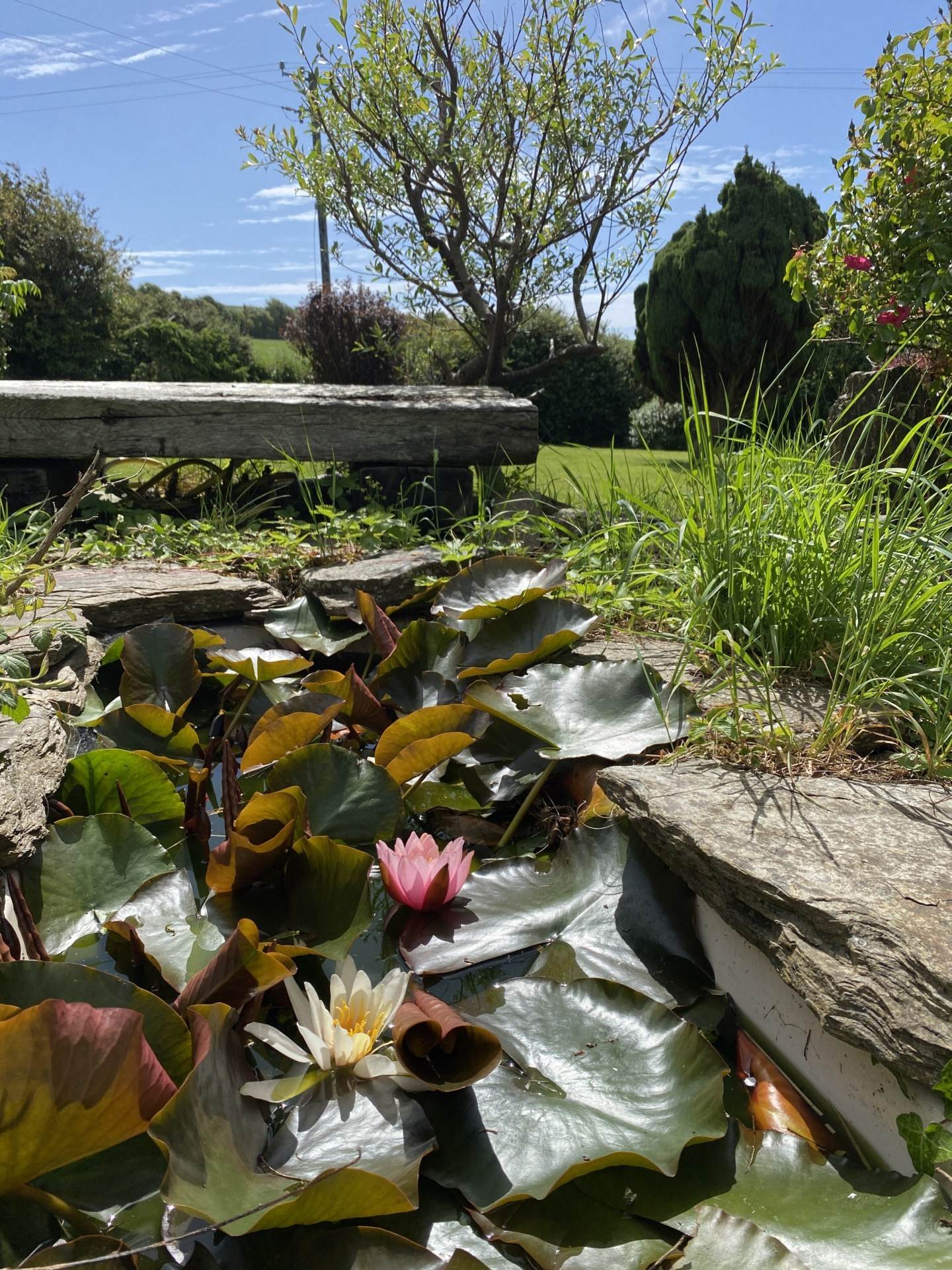 Castlelands, Castlepark, Kinsale, Co Cork, P17 FR96, Image 39