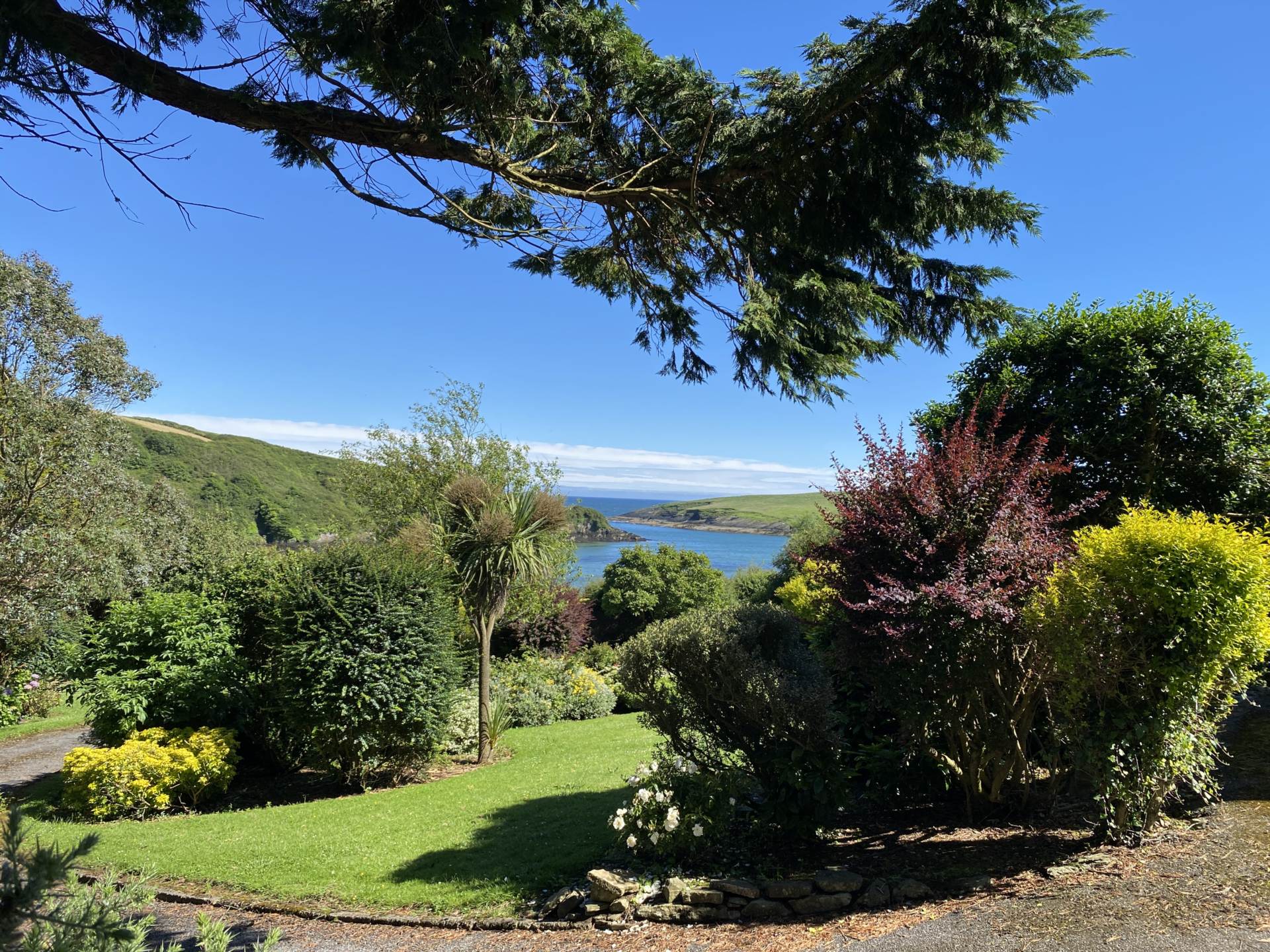 Ardkilly, Kinsale, P17 FN88, Image 38