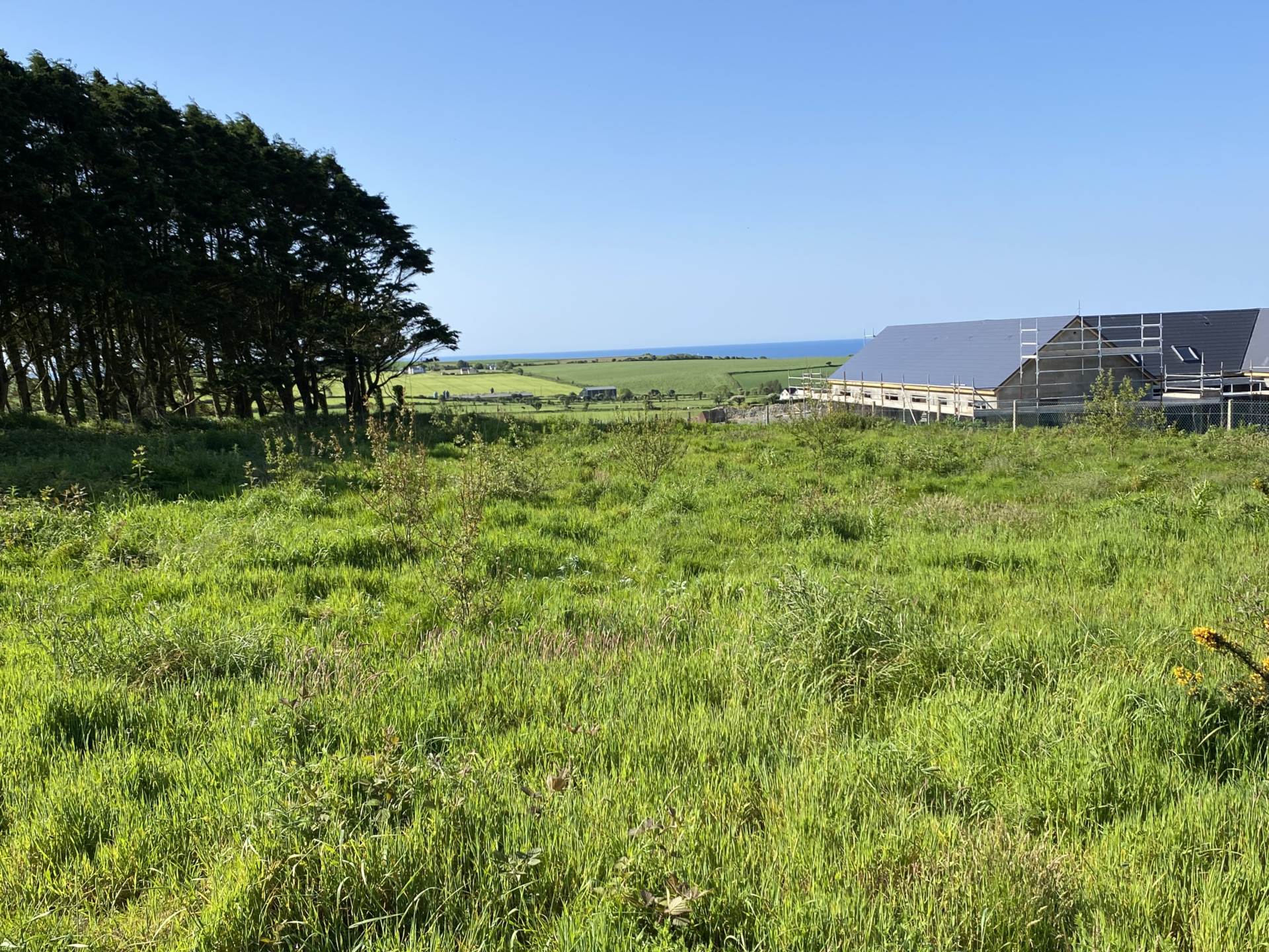 Clashreagh, Kilbrittain, Image 4
