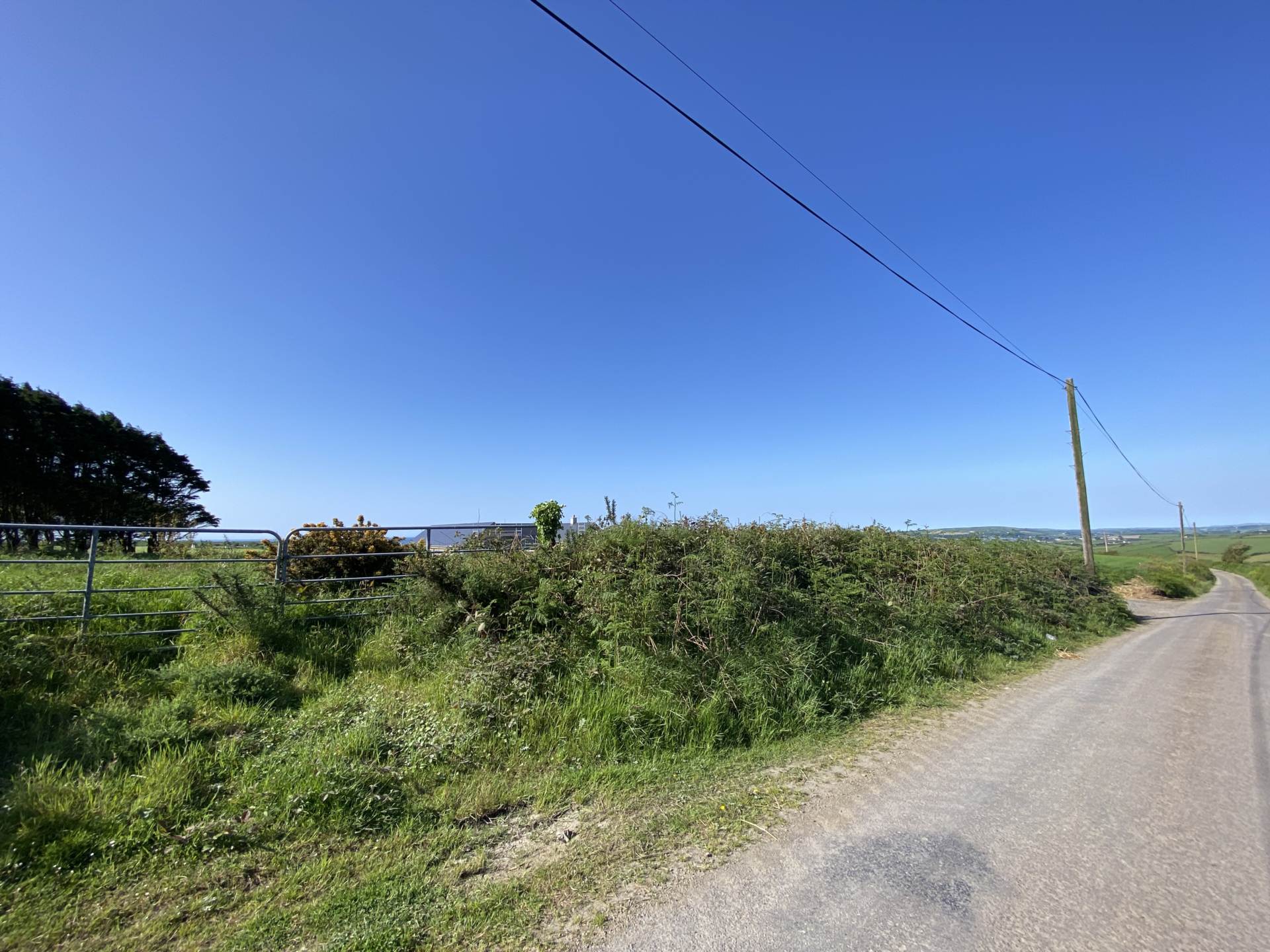 Clashreagh, Kilbrittain, Image 5