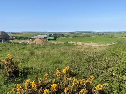 Clashreagh, Kilbrittain, Image 3