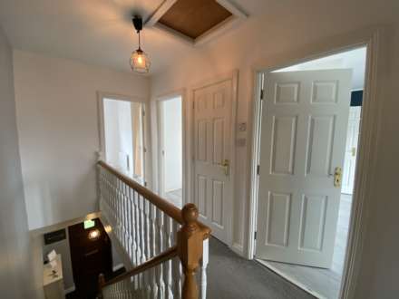 Riverstick, Image 14
