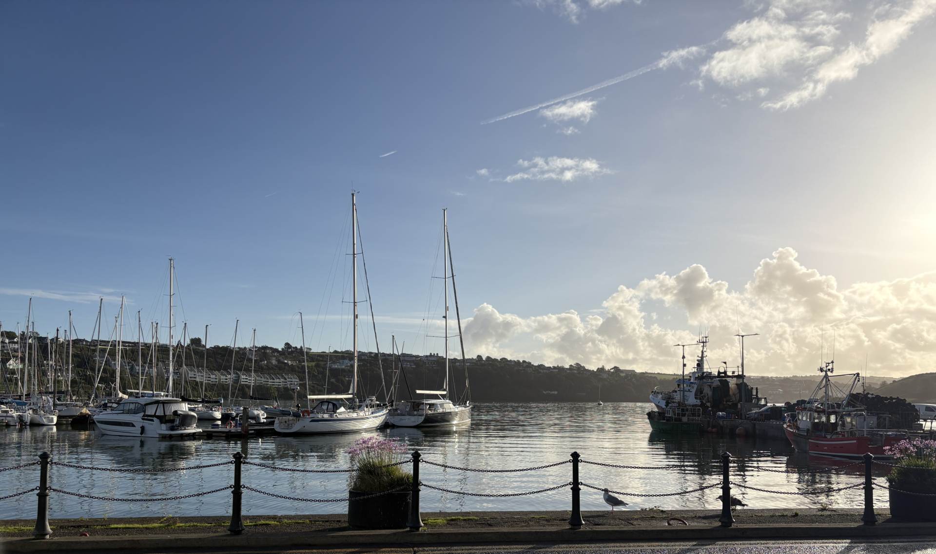 16 Shearwater, Pier Road, Kinsale, Co Cork, P17 NA09, Image 4