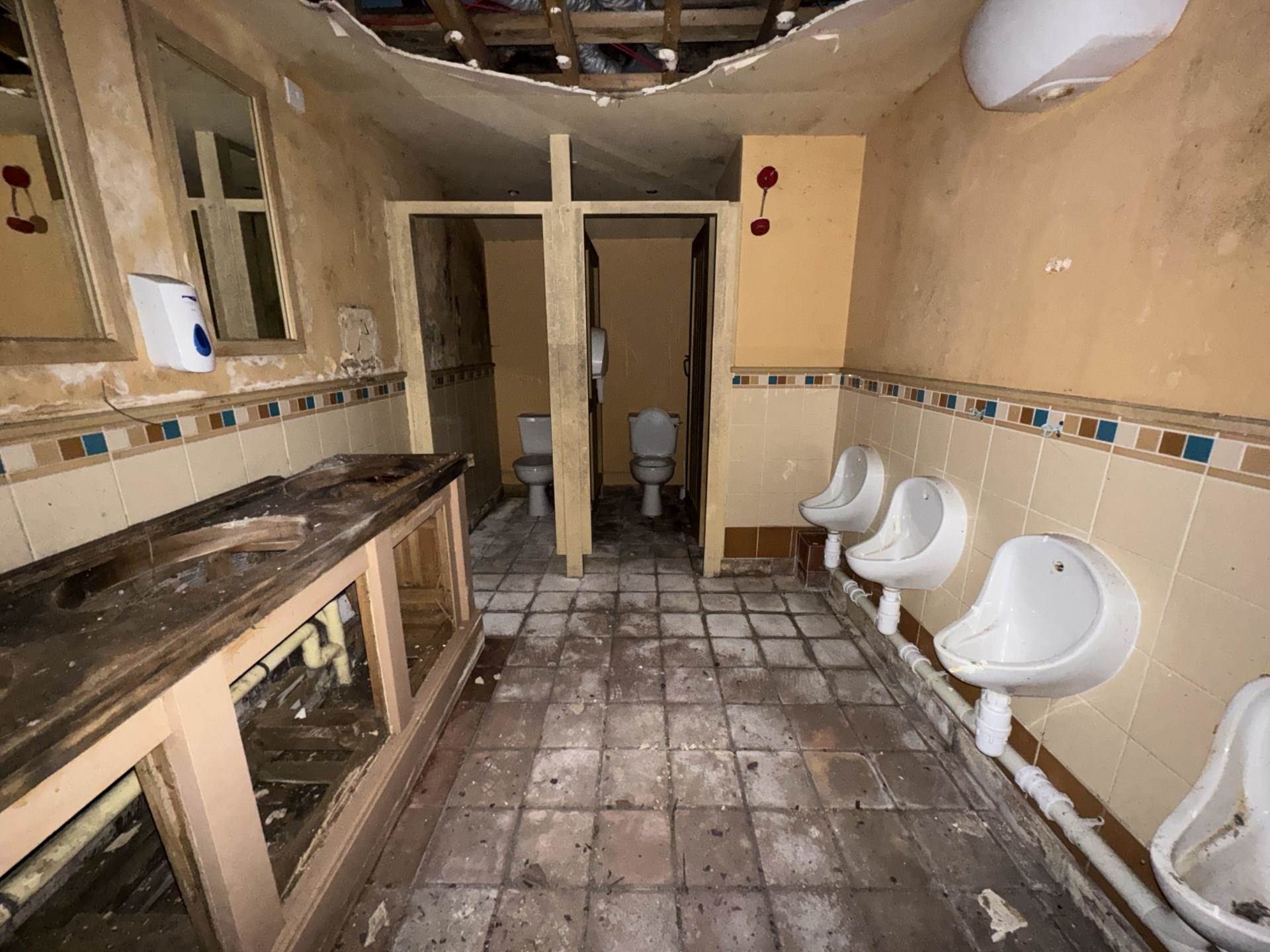 The Former Red Squirrel