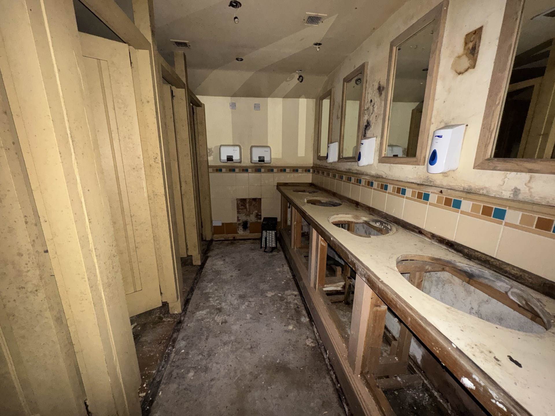 The Former Red Squirrel