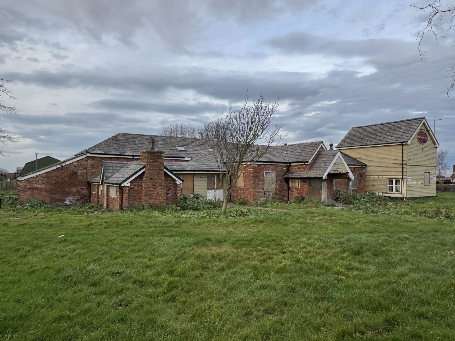 The Former Red Squirrel