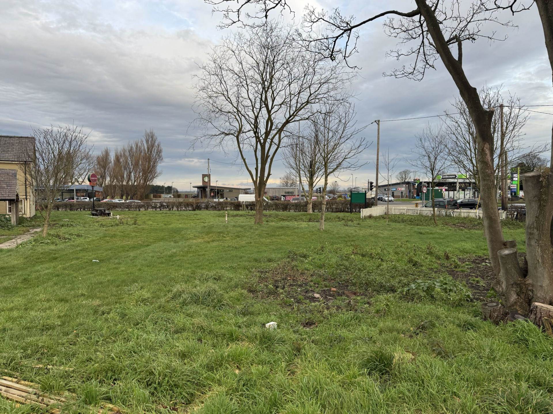 The Former Red Squirrel