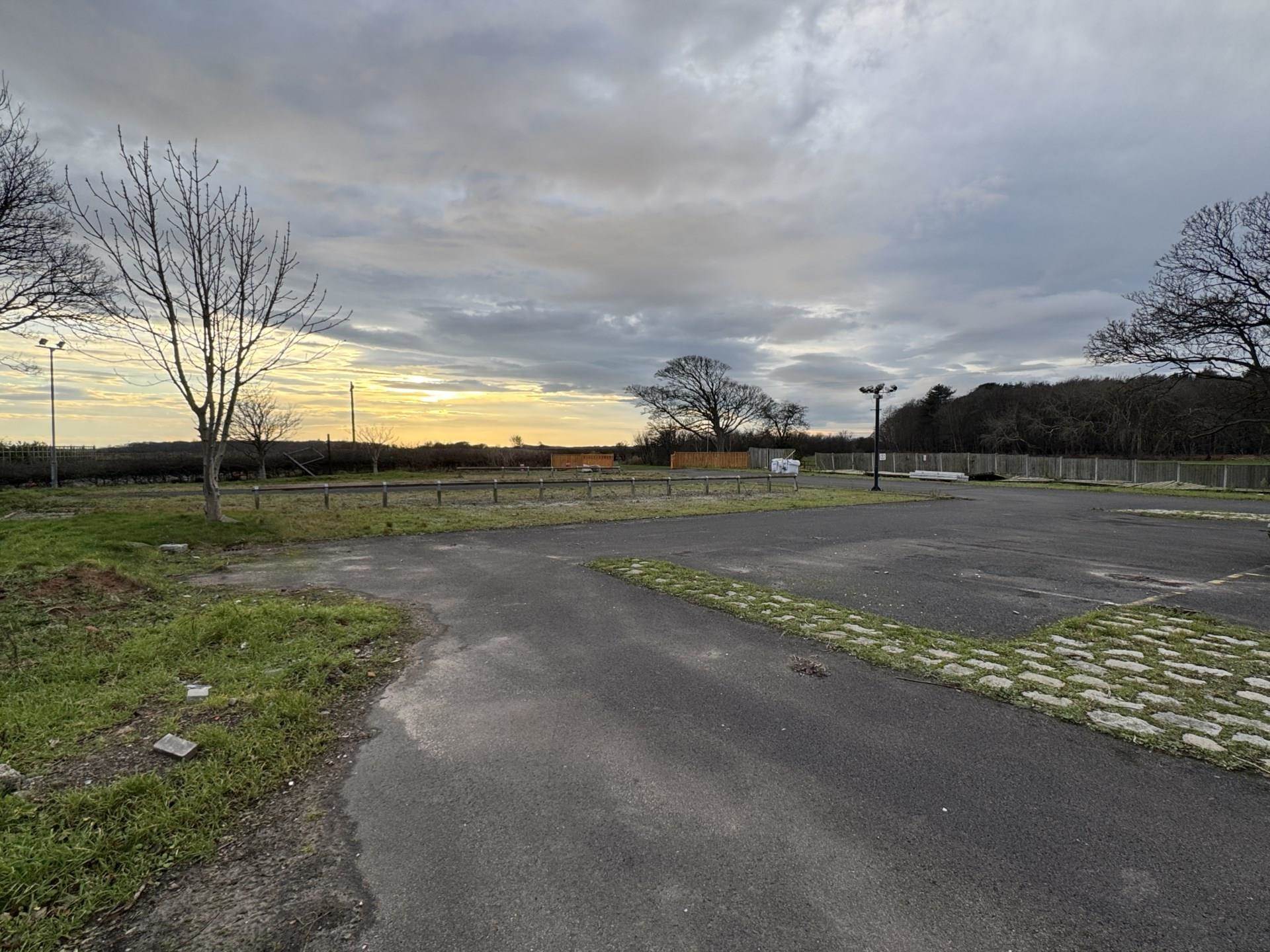 The Former Red Squirrel