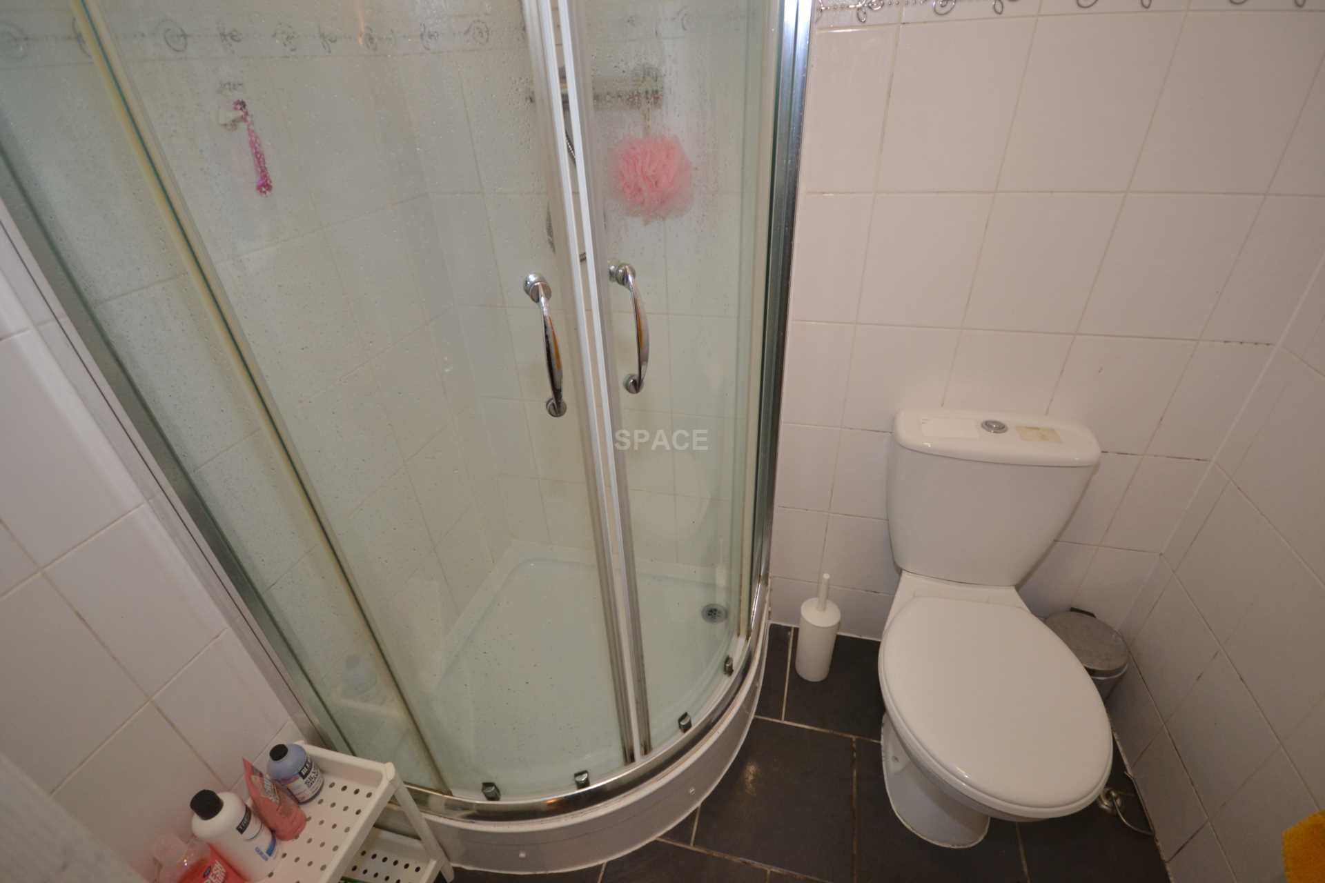 Grange Avenue, Reading, Berkshire, RG6 1DL, Image 11