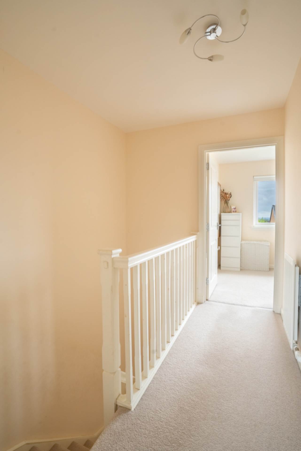 Chestnut Gait, Stewarton, Image 9