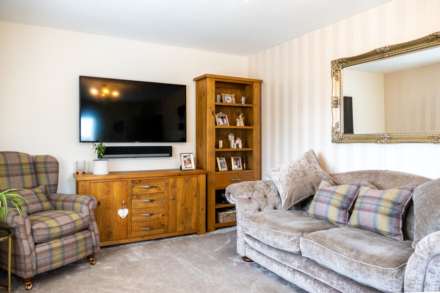 Chestnut Gait, Stewarton, Image 5