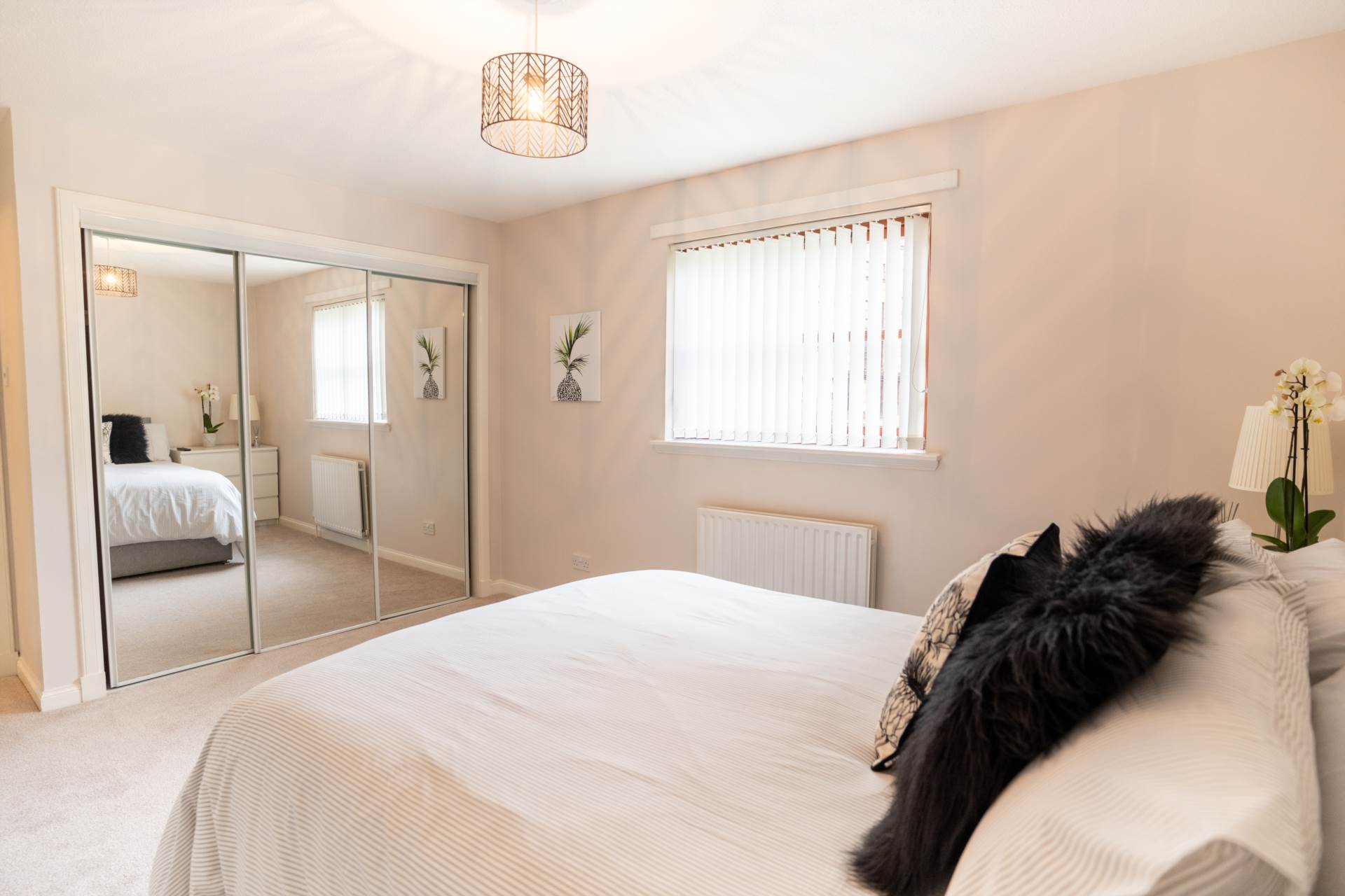 Centenary Court, Barrhead, Image 12