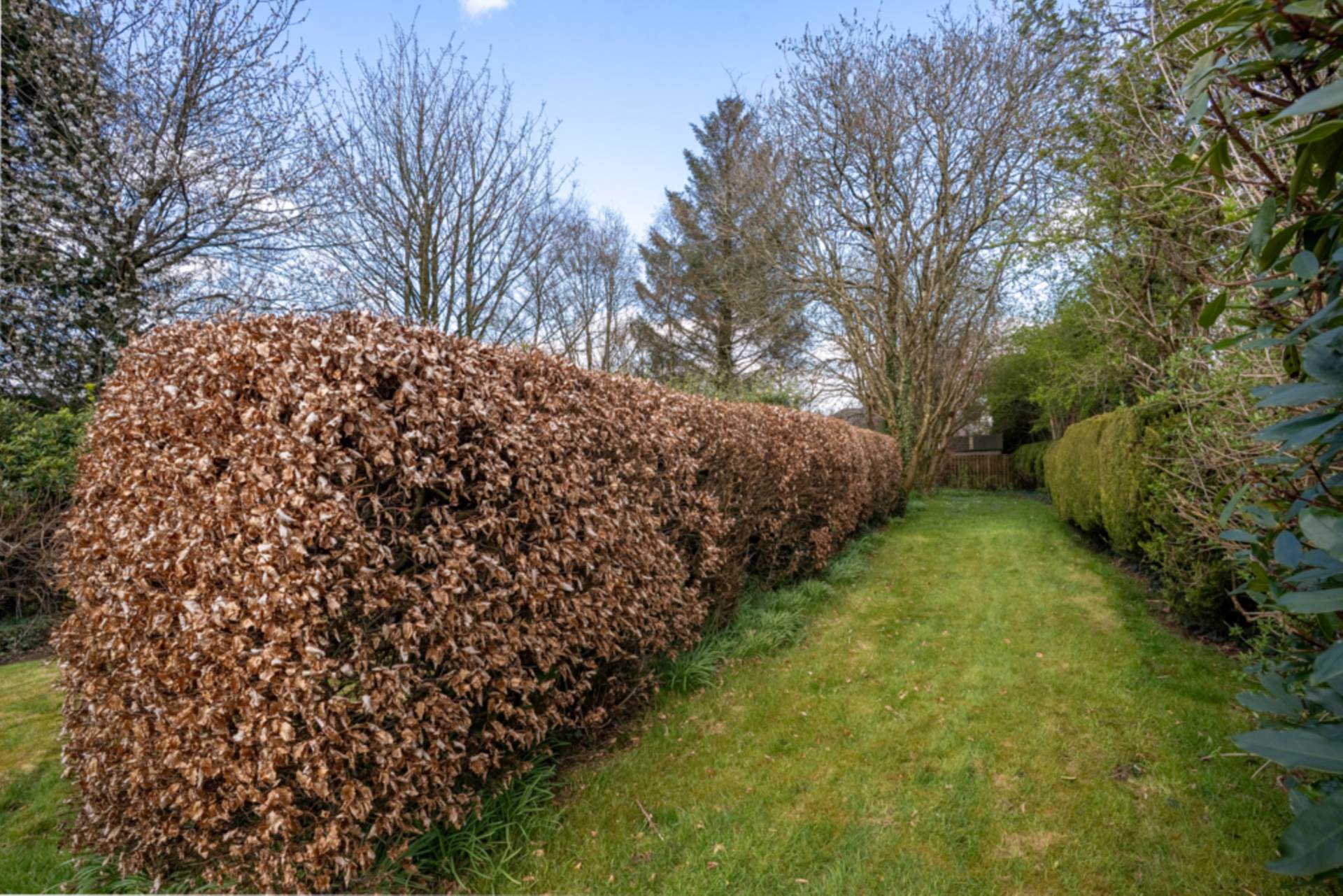 loudoun street, Image 32