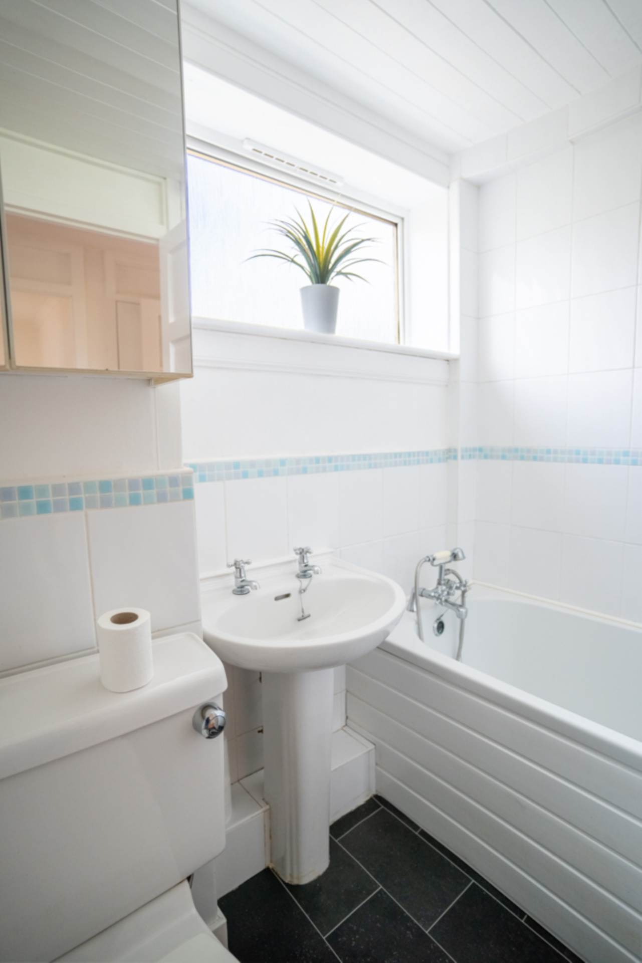 Morton Road, Stewarton, Image 11