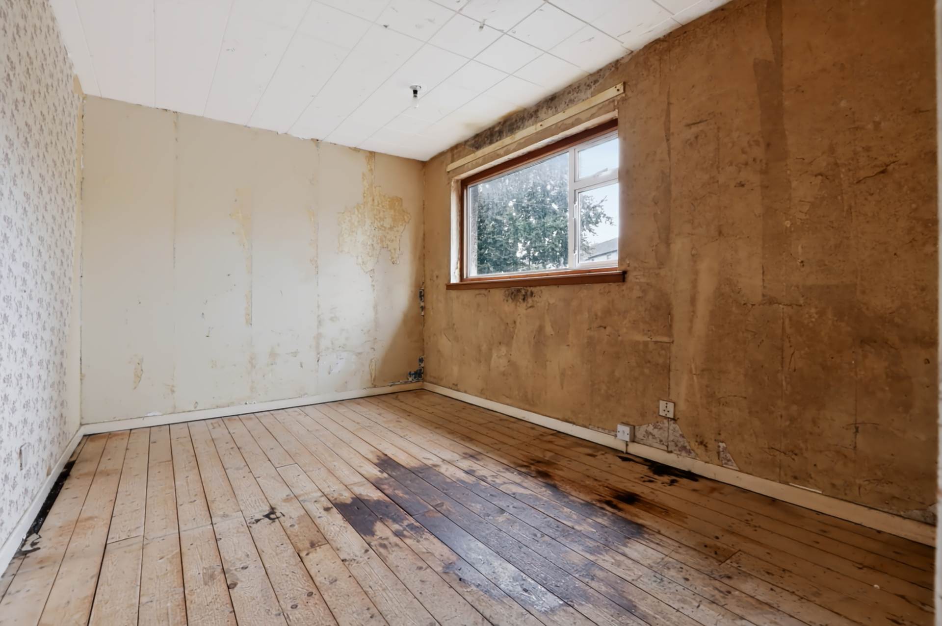 Morton Road, Stewarton, Image 12