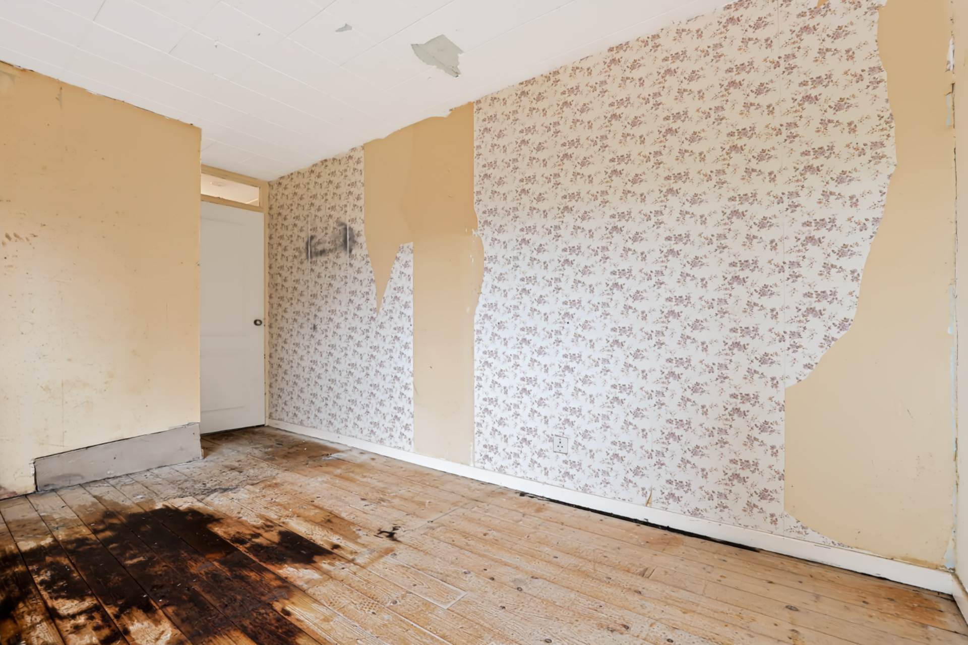 Morton Road, Stewarton, Image 13