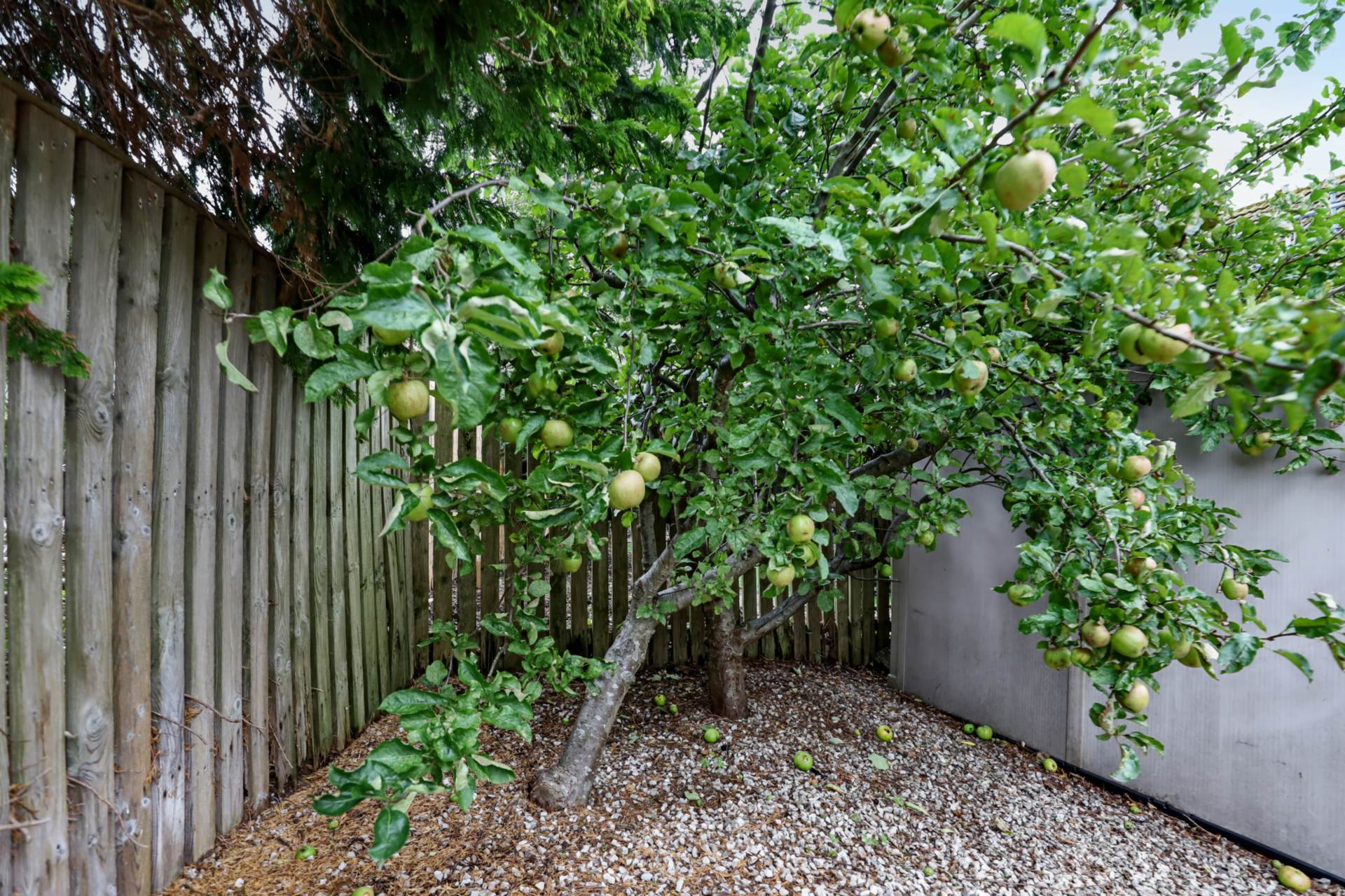 Morton Road, Stewarton, Image 22