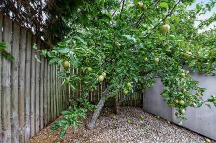 Morton Road, Stewarton, Image 22