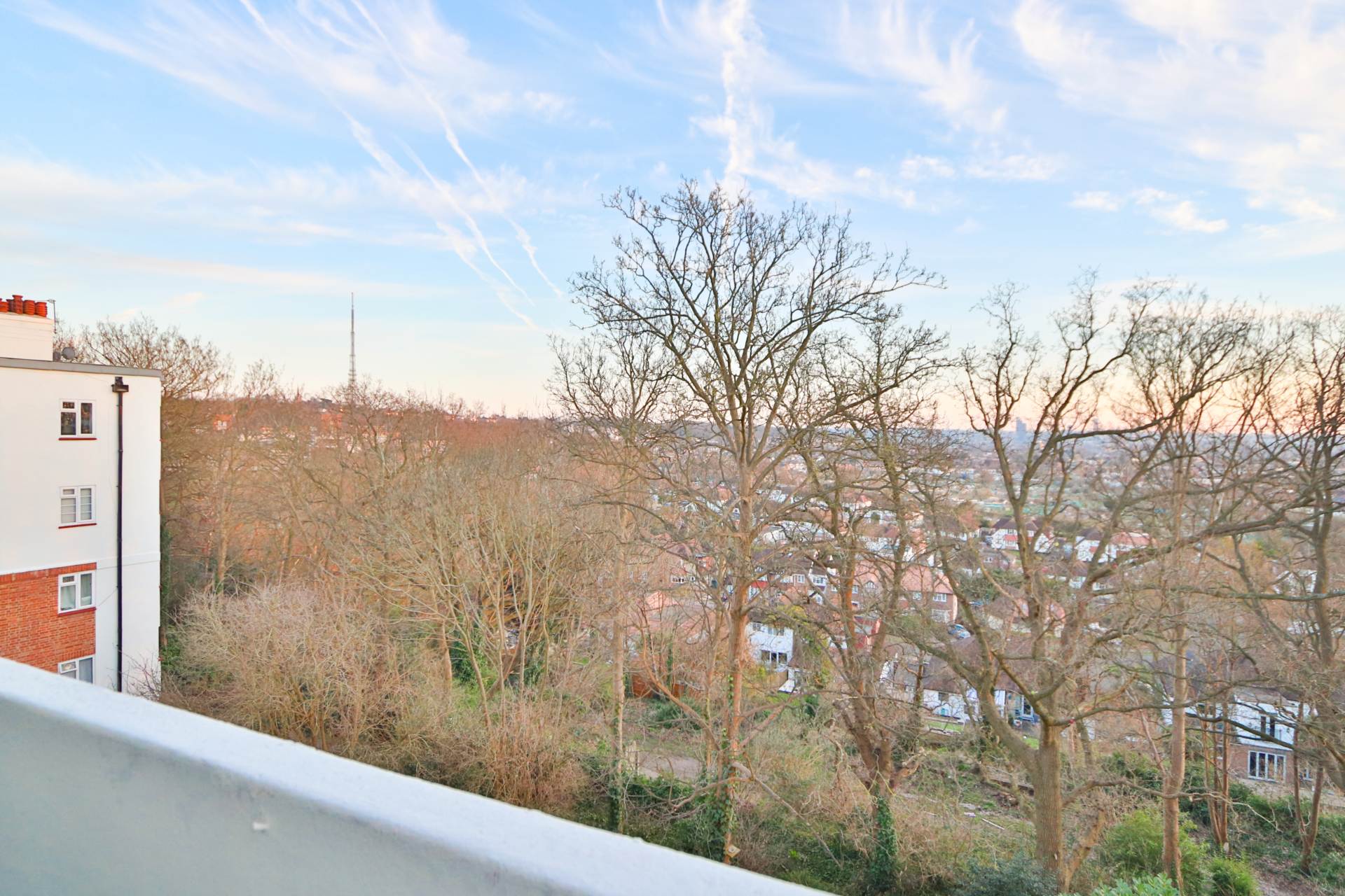The Woodlands, Crystal Palace, Image 4