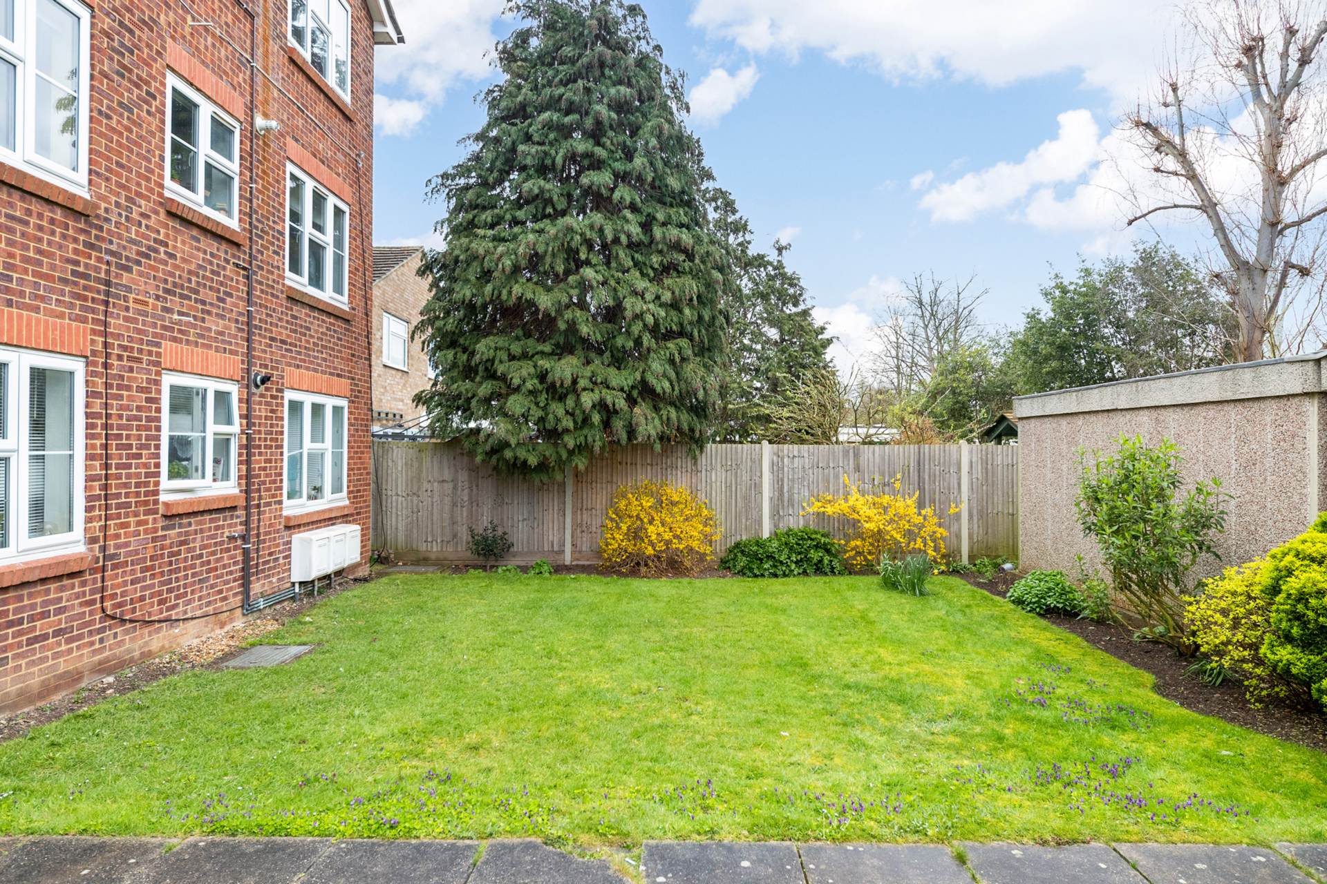 Lime Grove, New Malden, Image 11