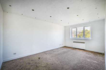 Donald Woods Gardens, Surbiton, Image 4