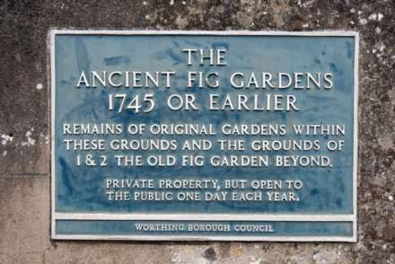The Old Fig Garden, Bishops Close, Image 3