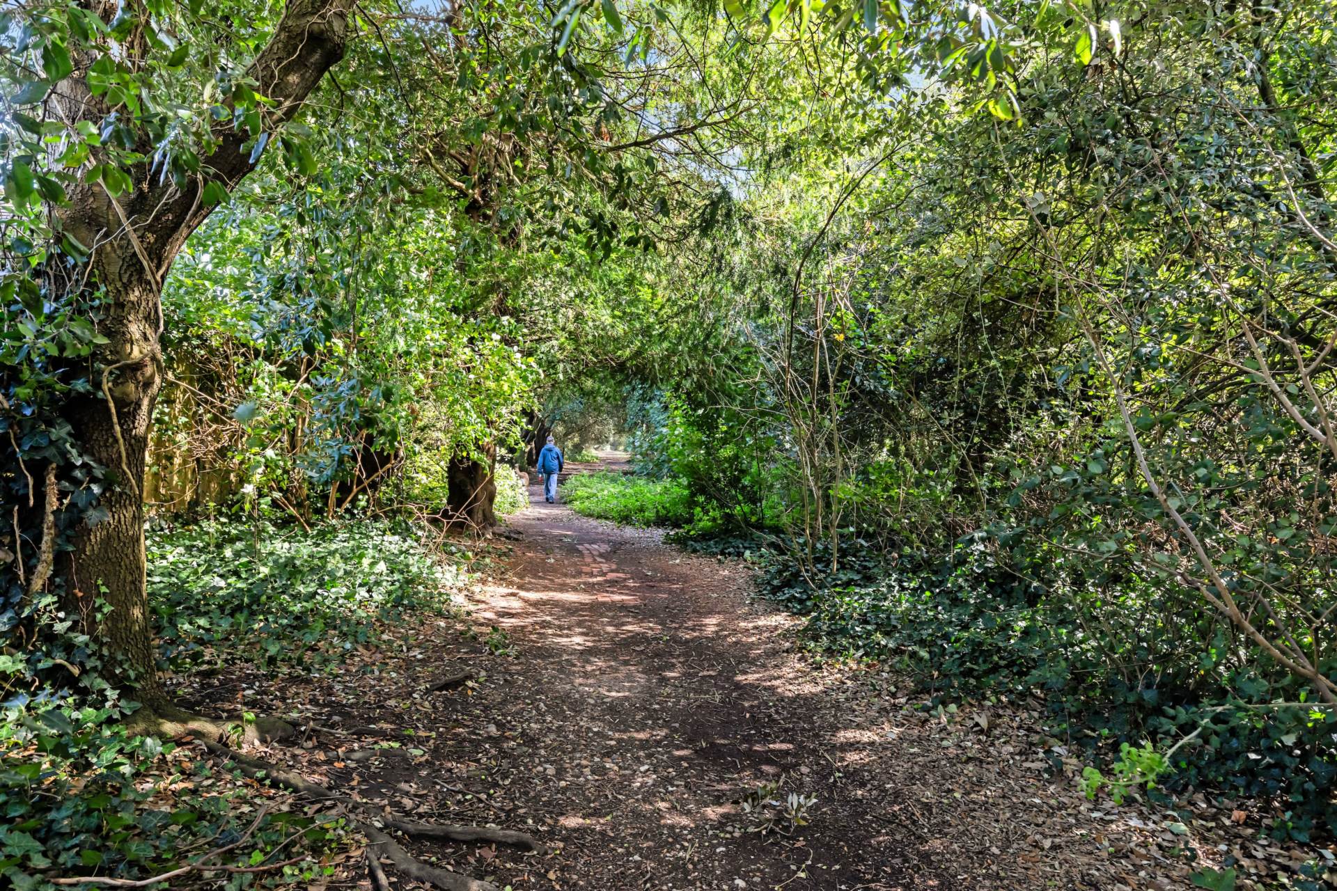 Sea Lane, Ferring, Image 19