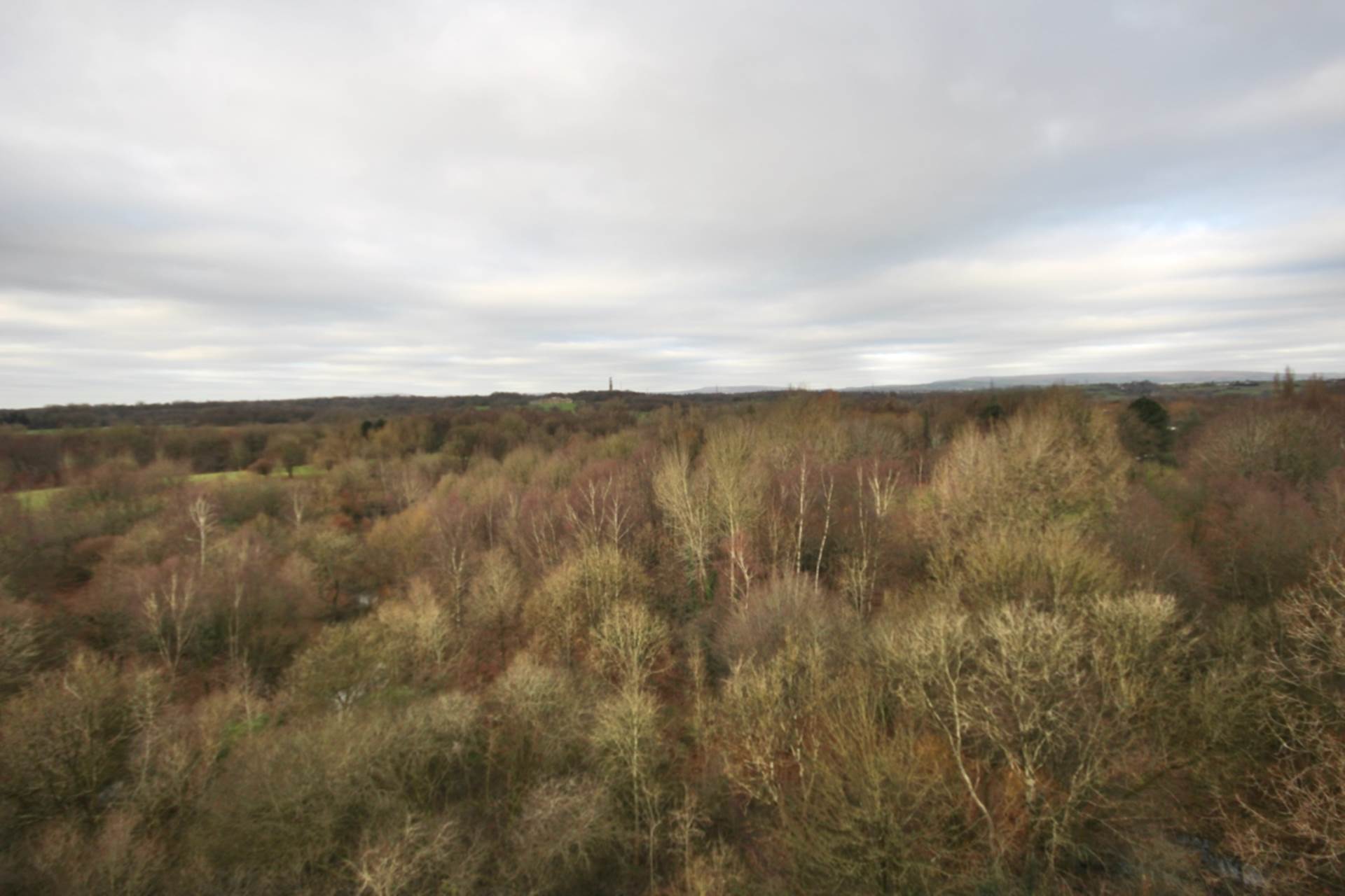 Lakeside Rise, Manchester, Image 2