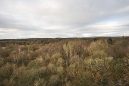 Lakeside Rise, Manchester, Image 2