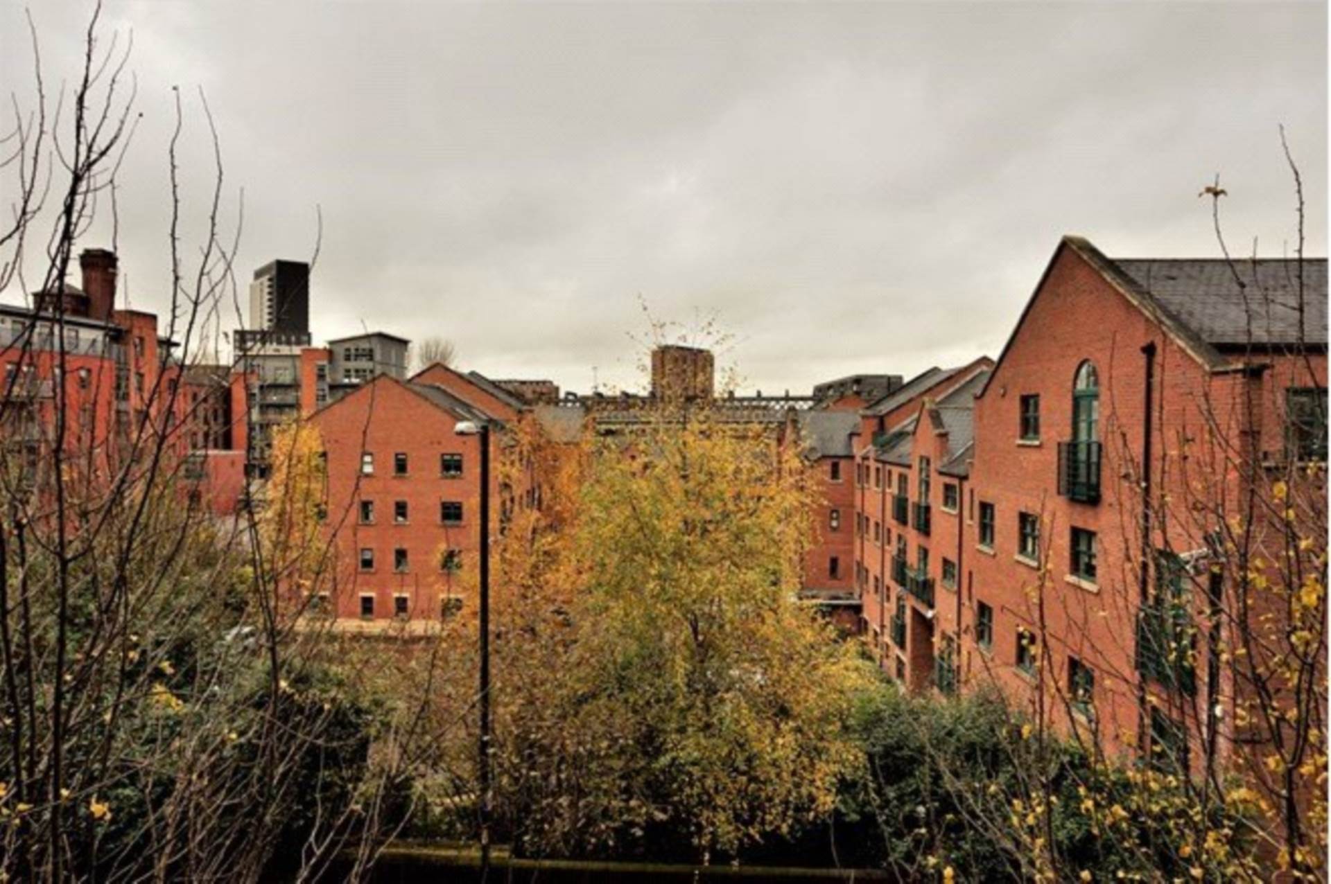 Blantyre Street, Manchester, Image 17
