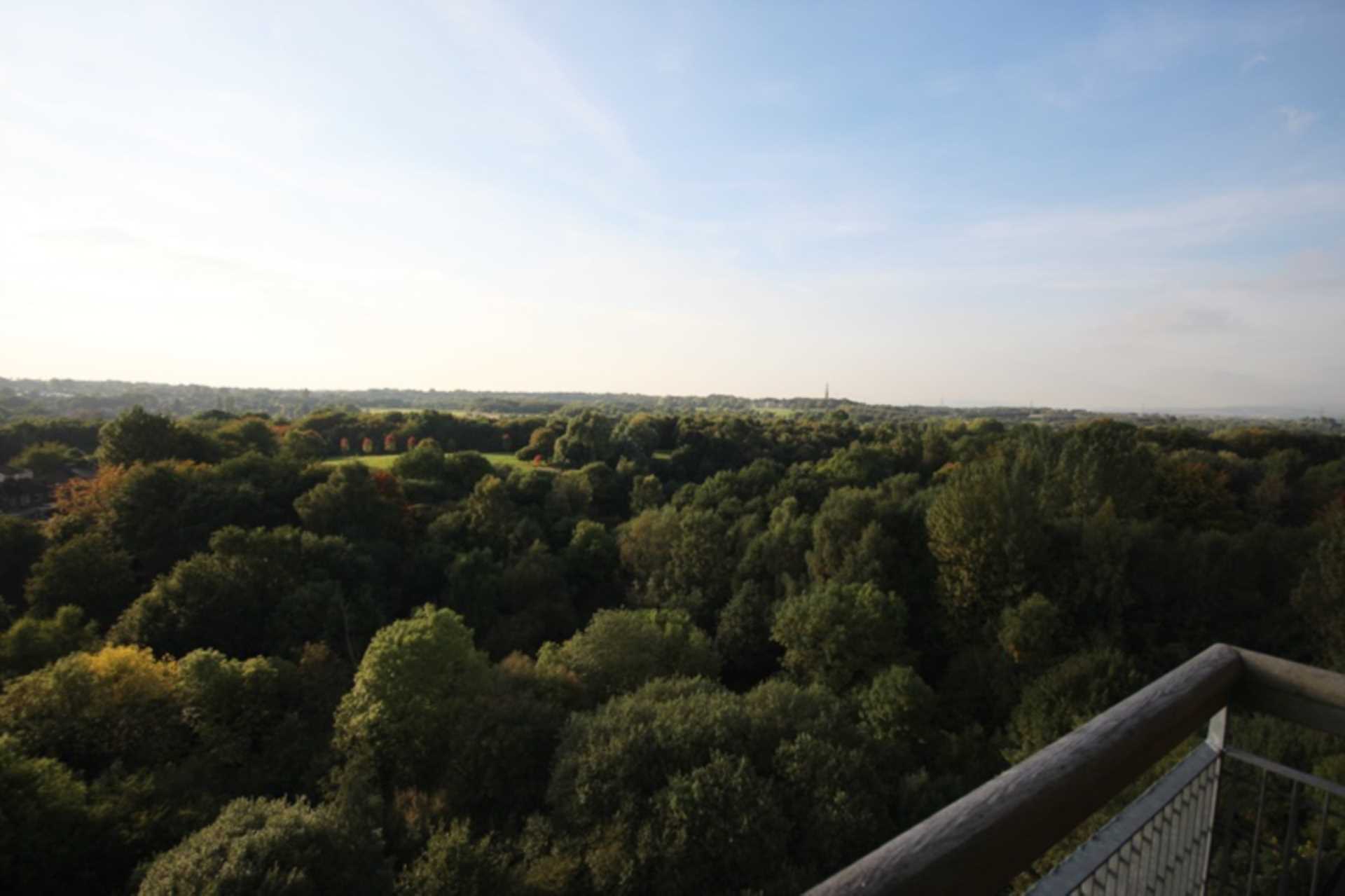 Lakeside Rise, Manchester, Image 6