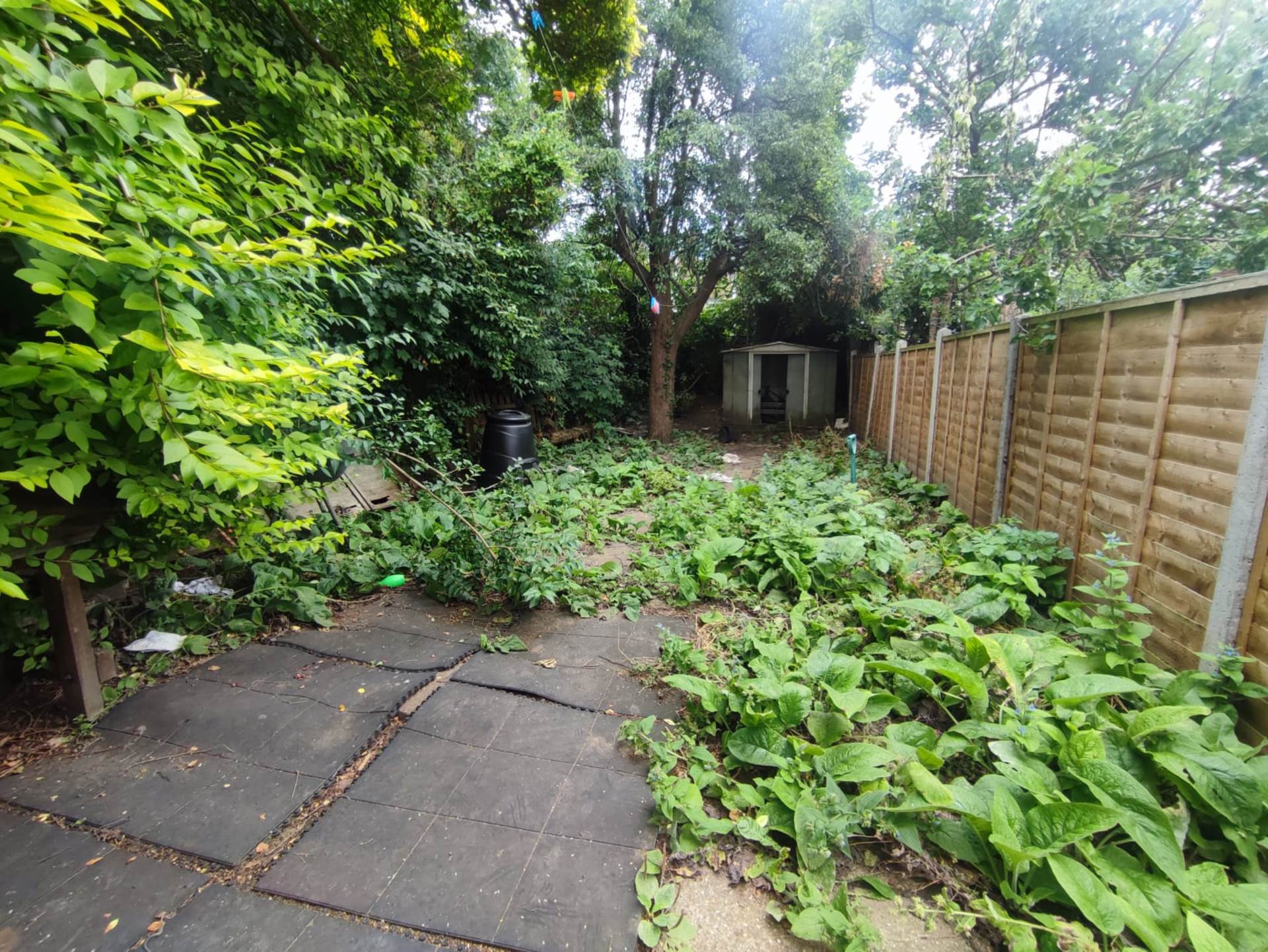 Stafford Road, Forest Gate, E7 8NN, Image 12