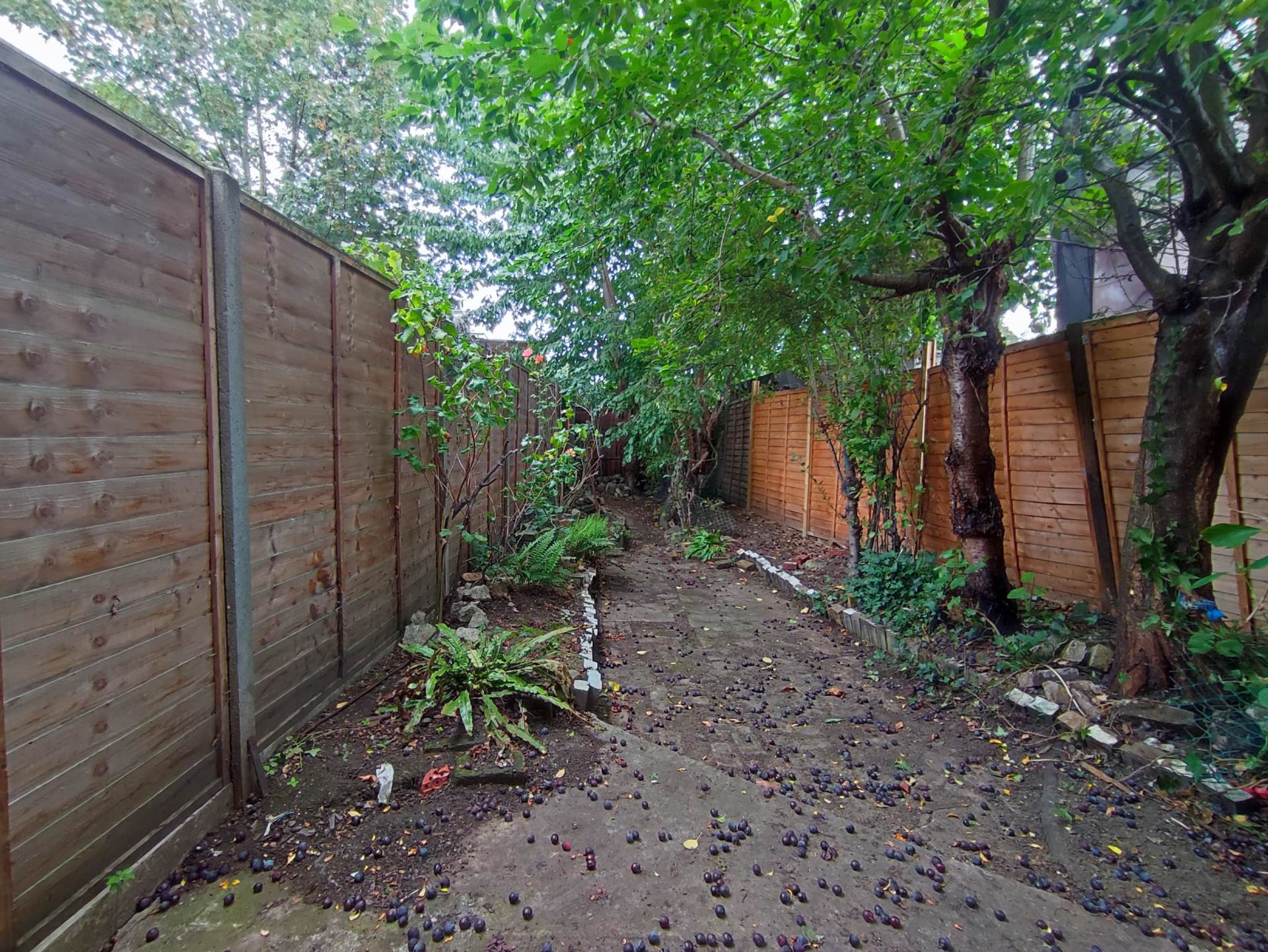 Green Street, Forest Gate, E7 8LL, Image 8