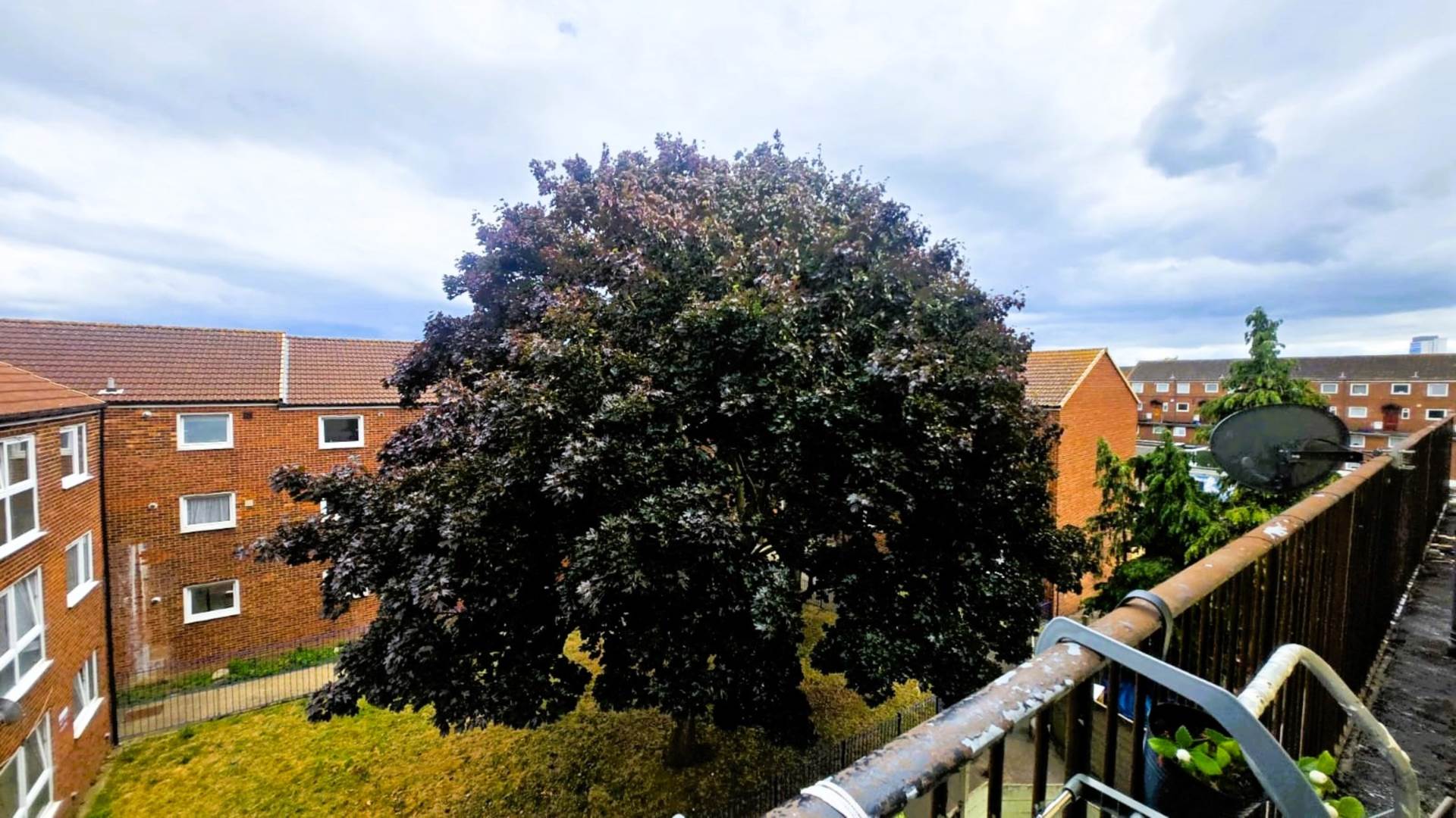 Morse Close, London, E13 0HJ, Image 12