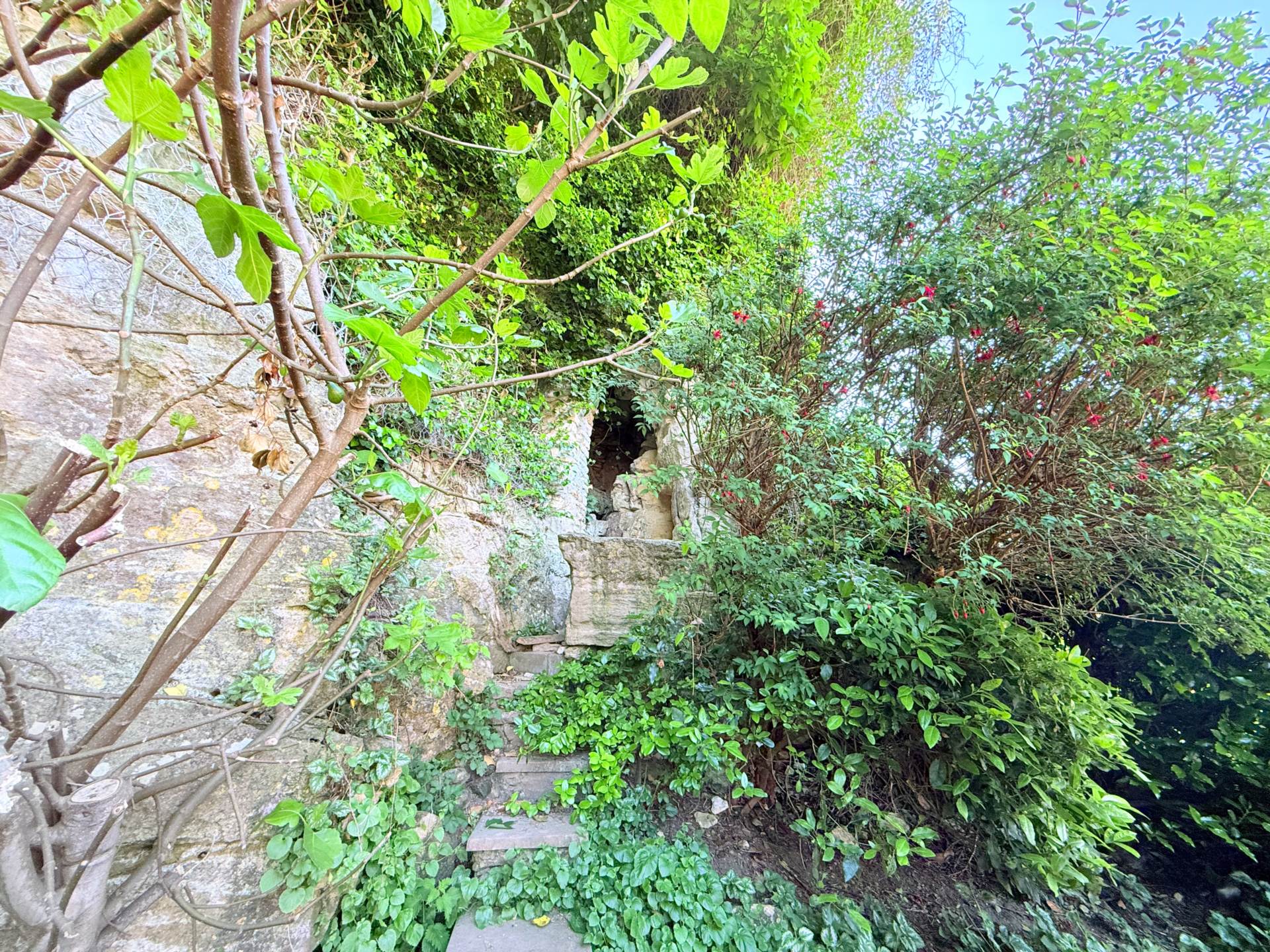 Entry Hill Park, Combe Down, Image 23