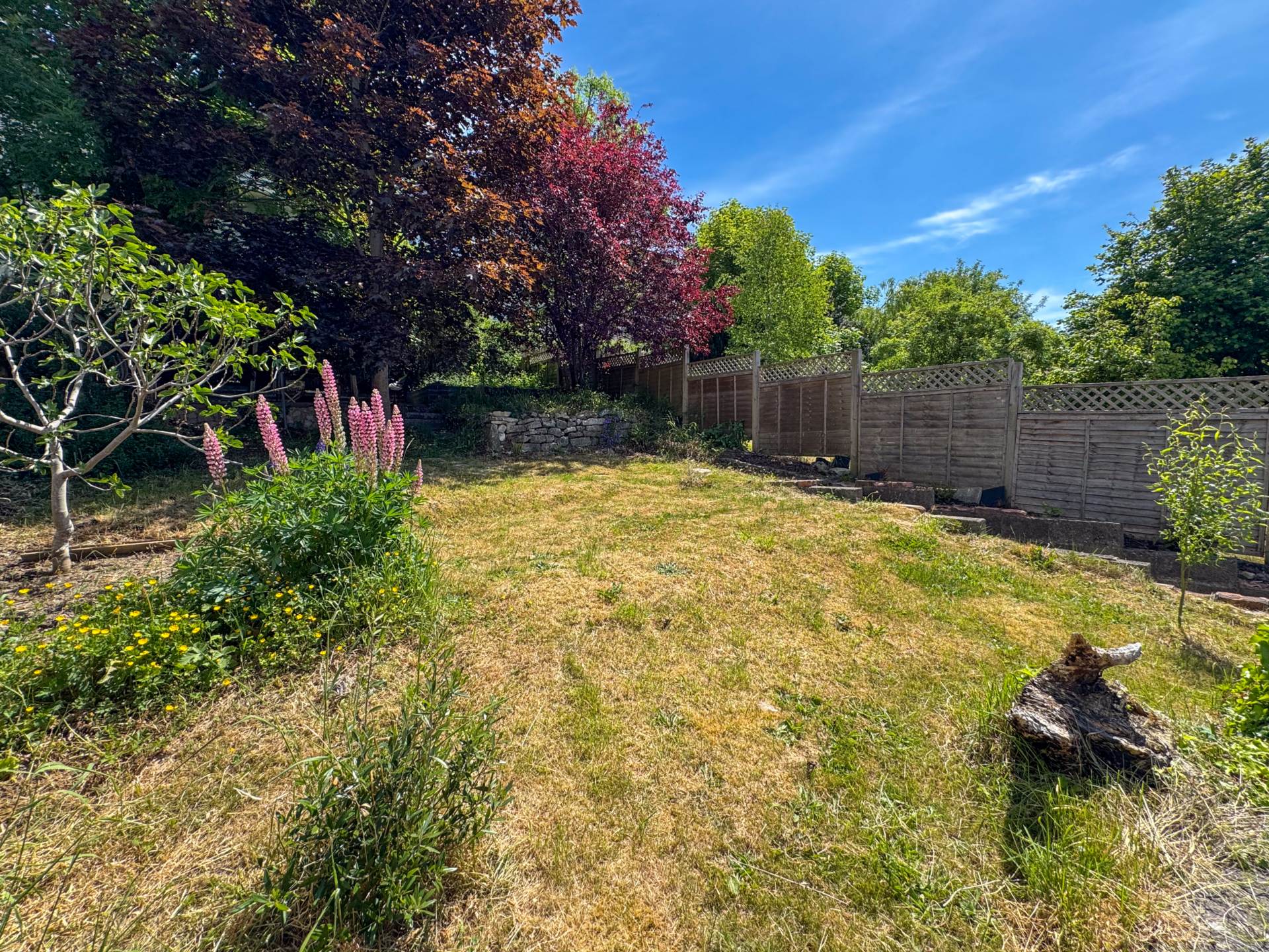 Coalpit Road, Bath, Image 28