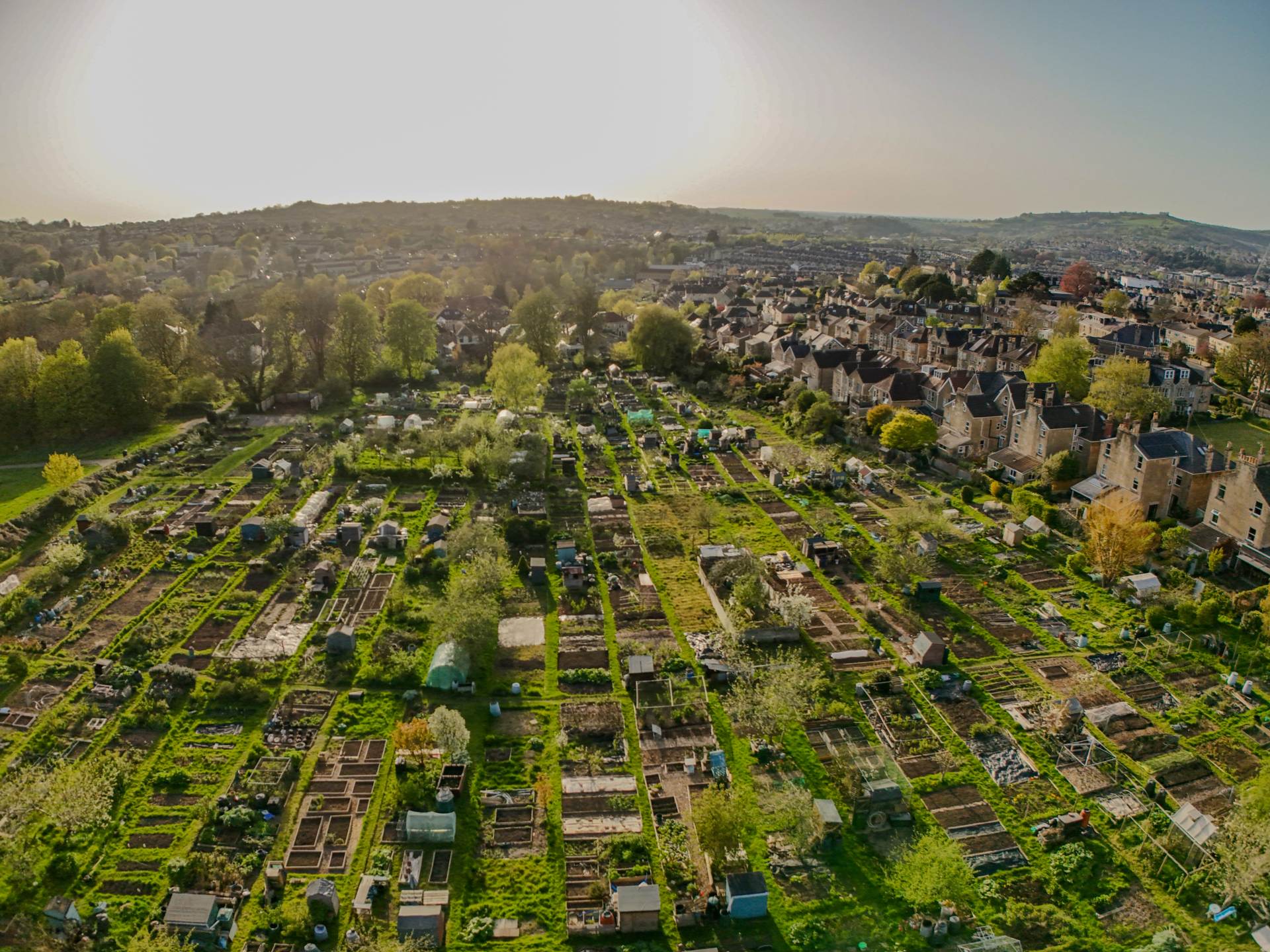 Elm Place, Bath, Image 29