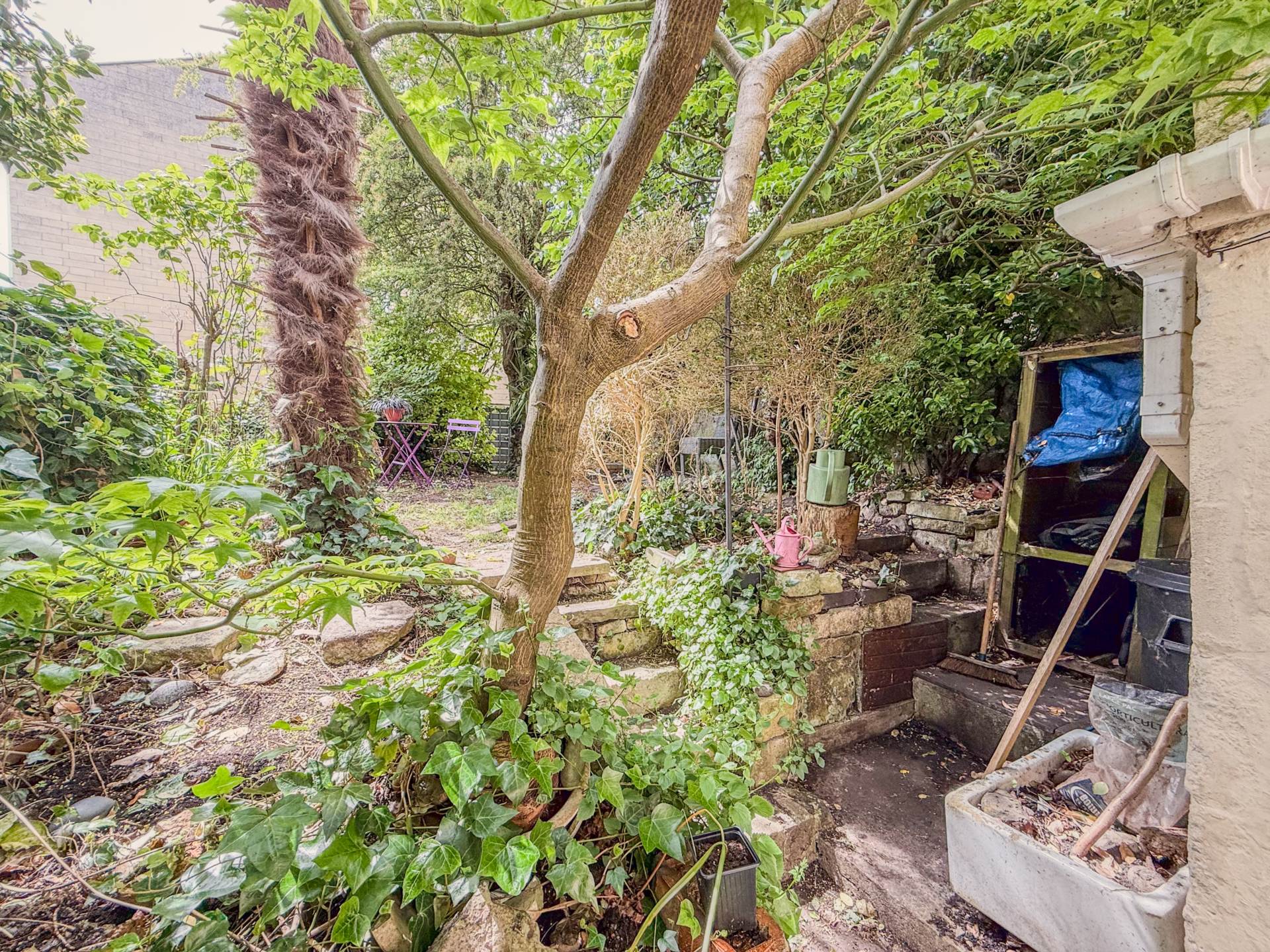 Clarence Street, Bath, Image 28