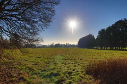 Flatwoods Road, Combe Down, Image 21