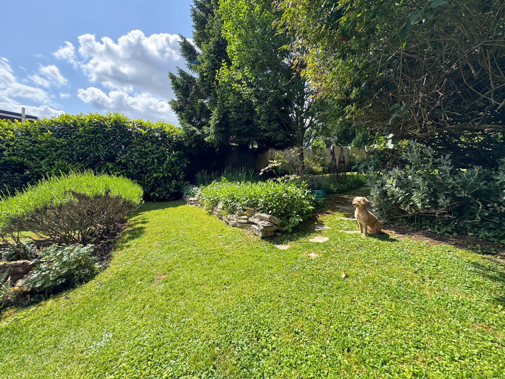 Charlcombe Way, Bath, Image 29