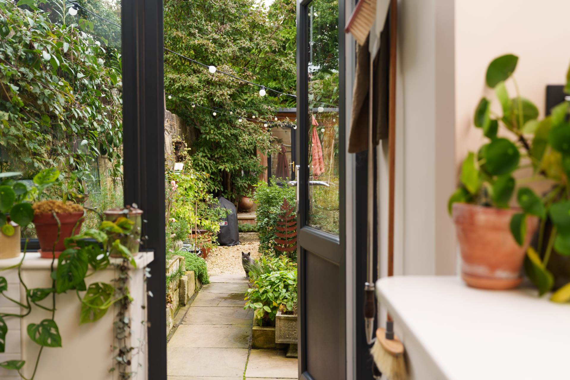 Brunswick Street, Bath, Image 28