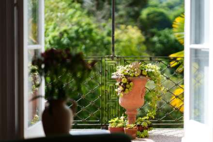 Percy Place, Bath, Image 12