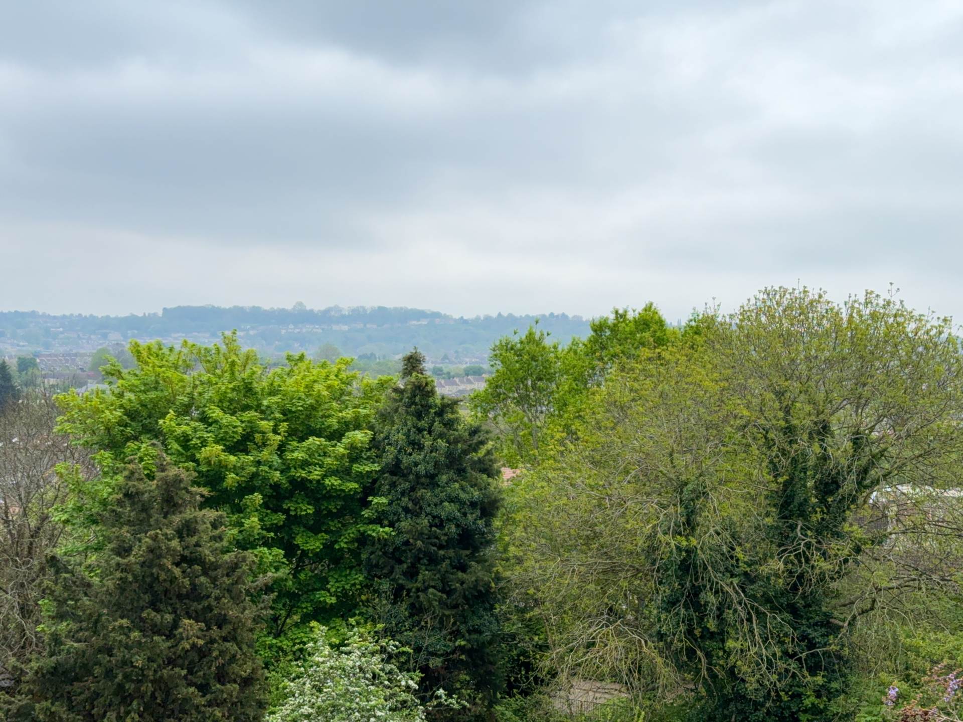 Newbridge Road, Bath, Image 13